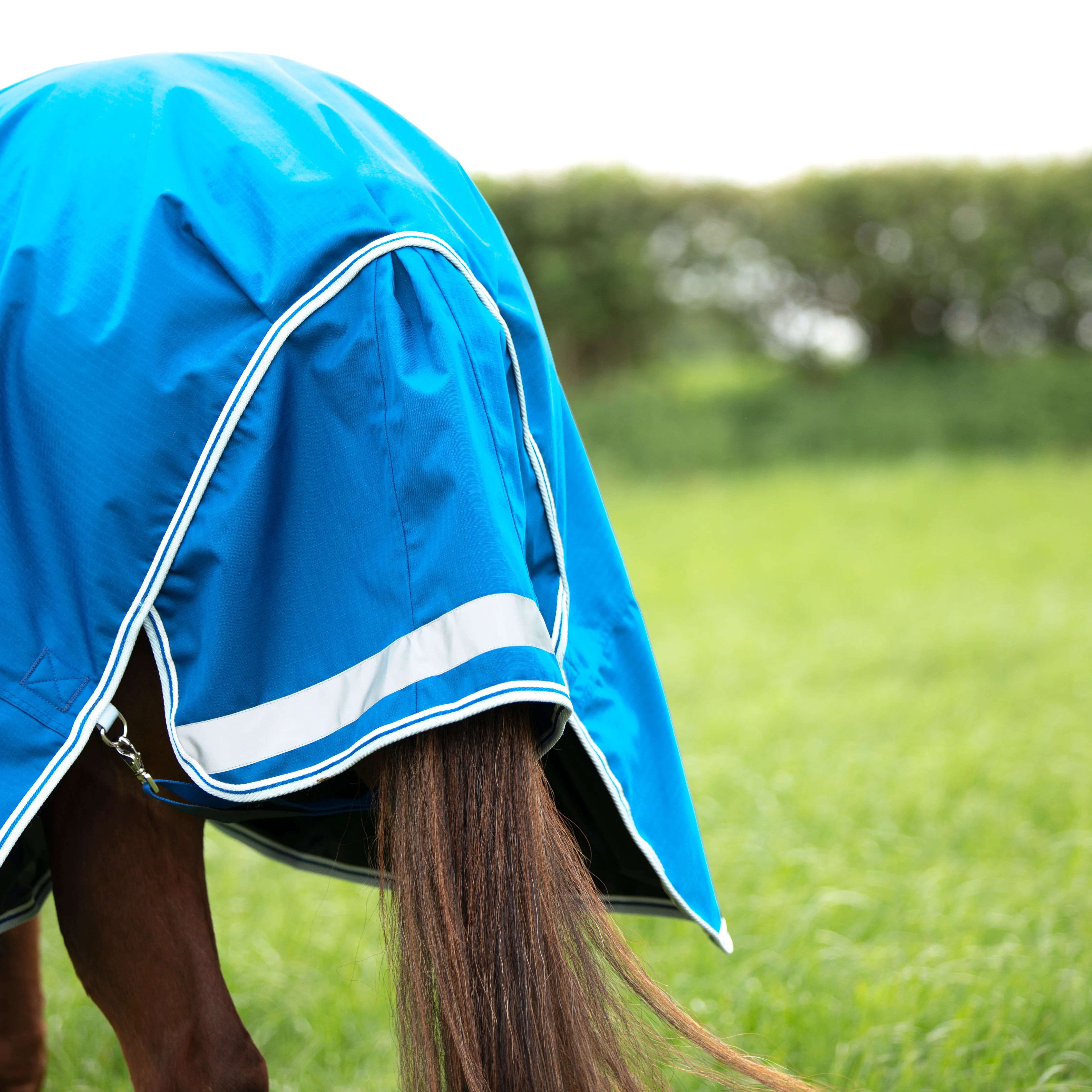 Shires Highlander Original 200g Turnout Combo Rug - Image 10