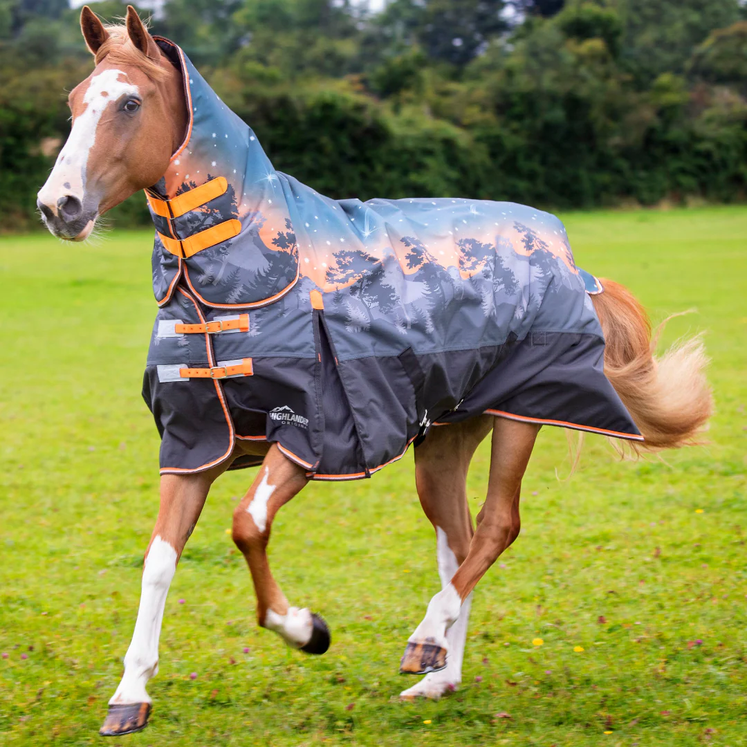 Shires Highlander Original 200g Turnout Combo Rug - Image 3