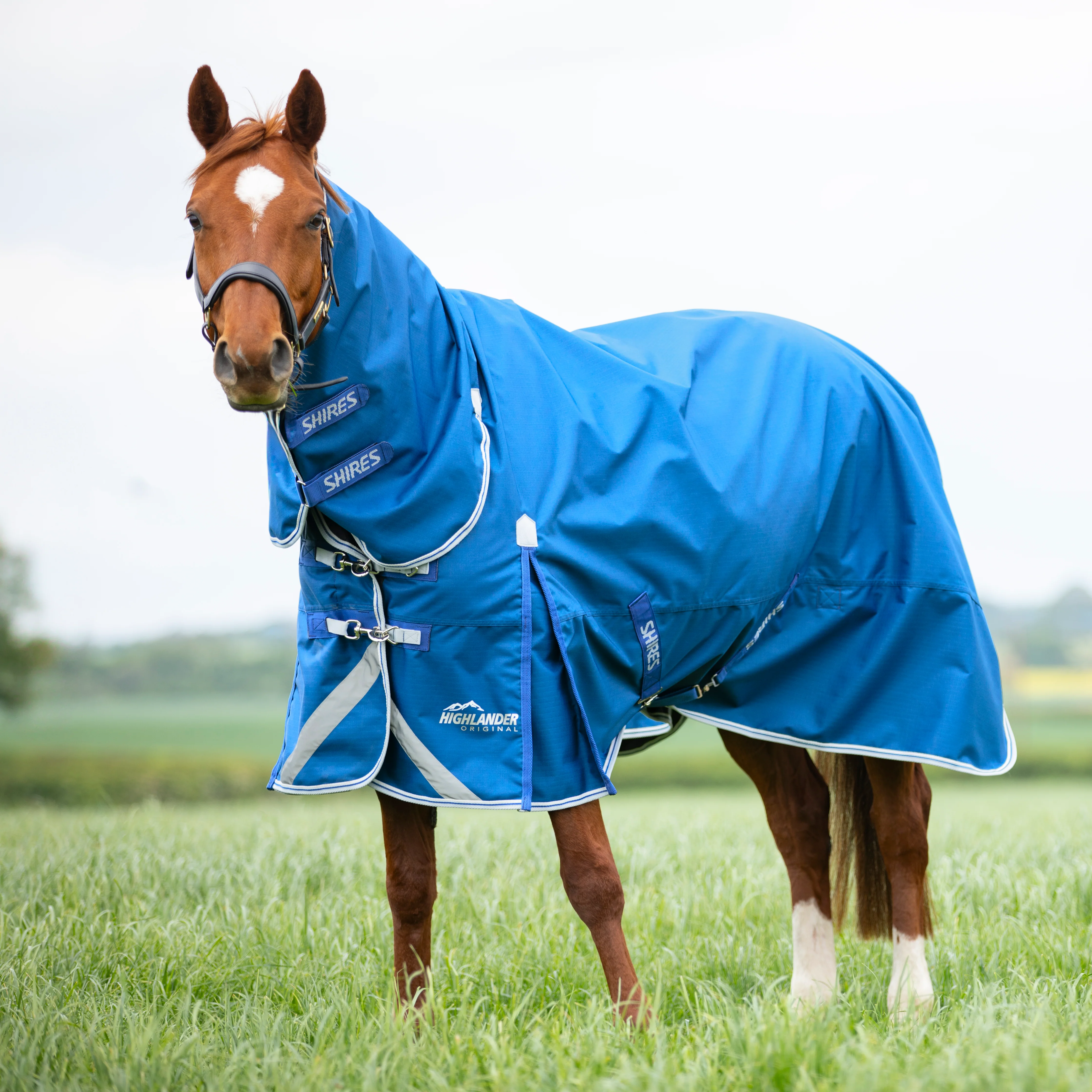 Shires Highlander Original 200g Turnout Combo Rug - Image 8