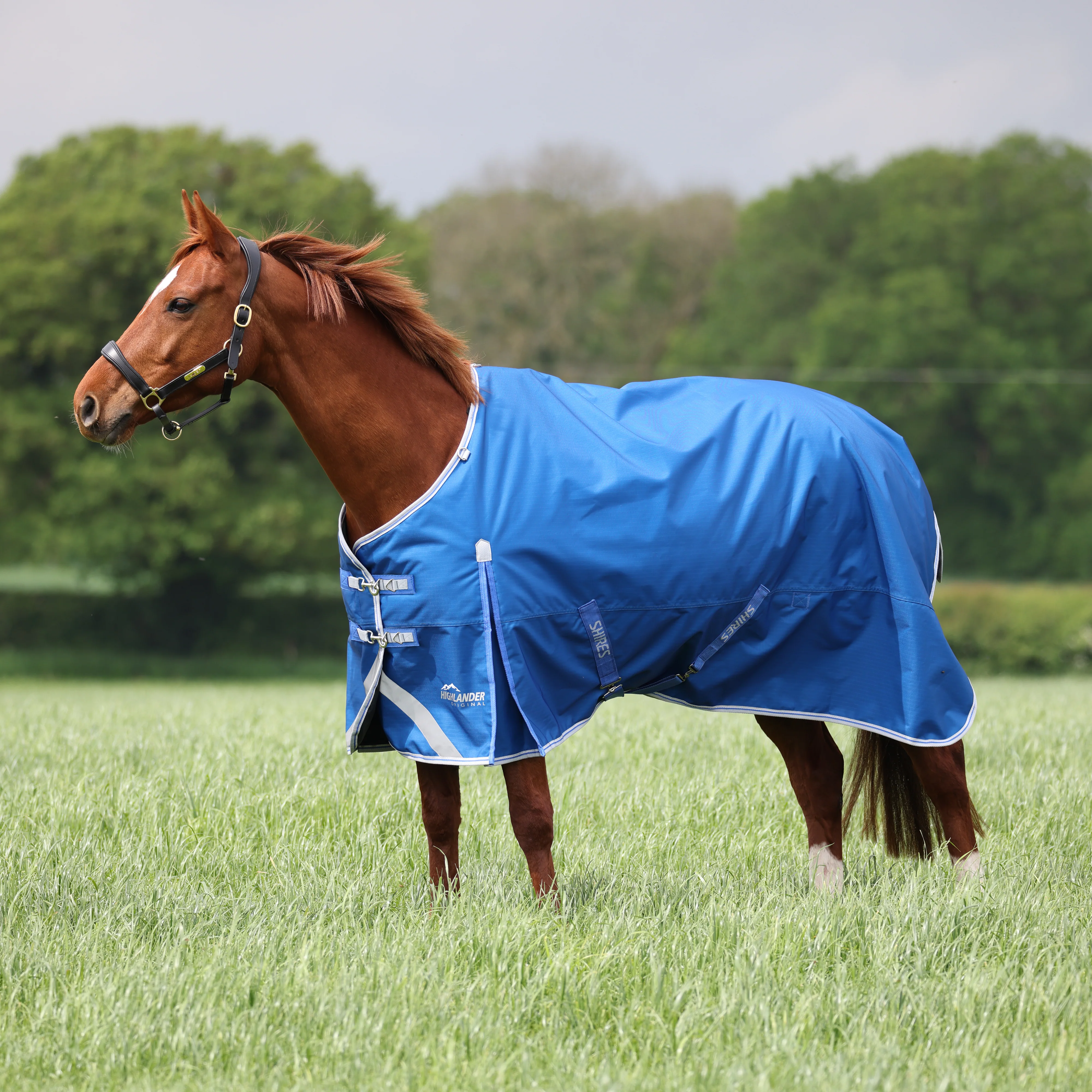 Shires Highlander Original 200g Turnout Rug - Image 7