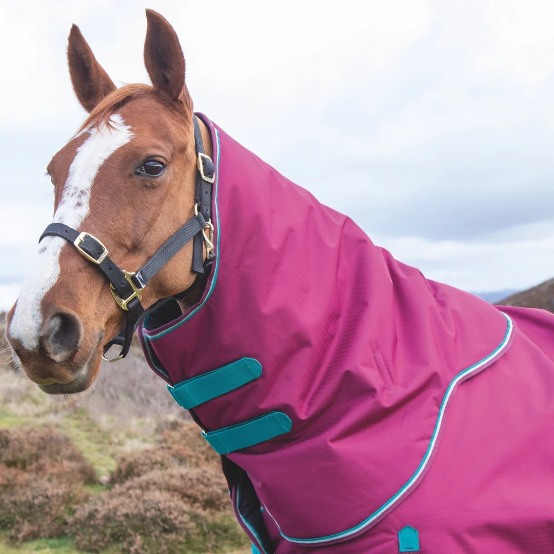 Shires Highlander Original 300g Turnout Neck Cover