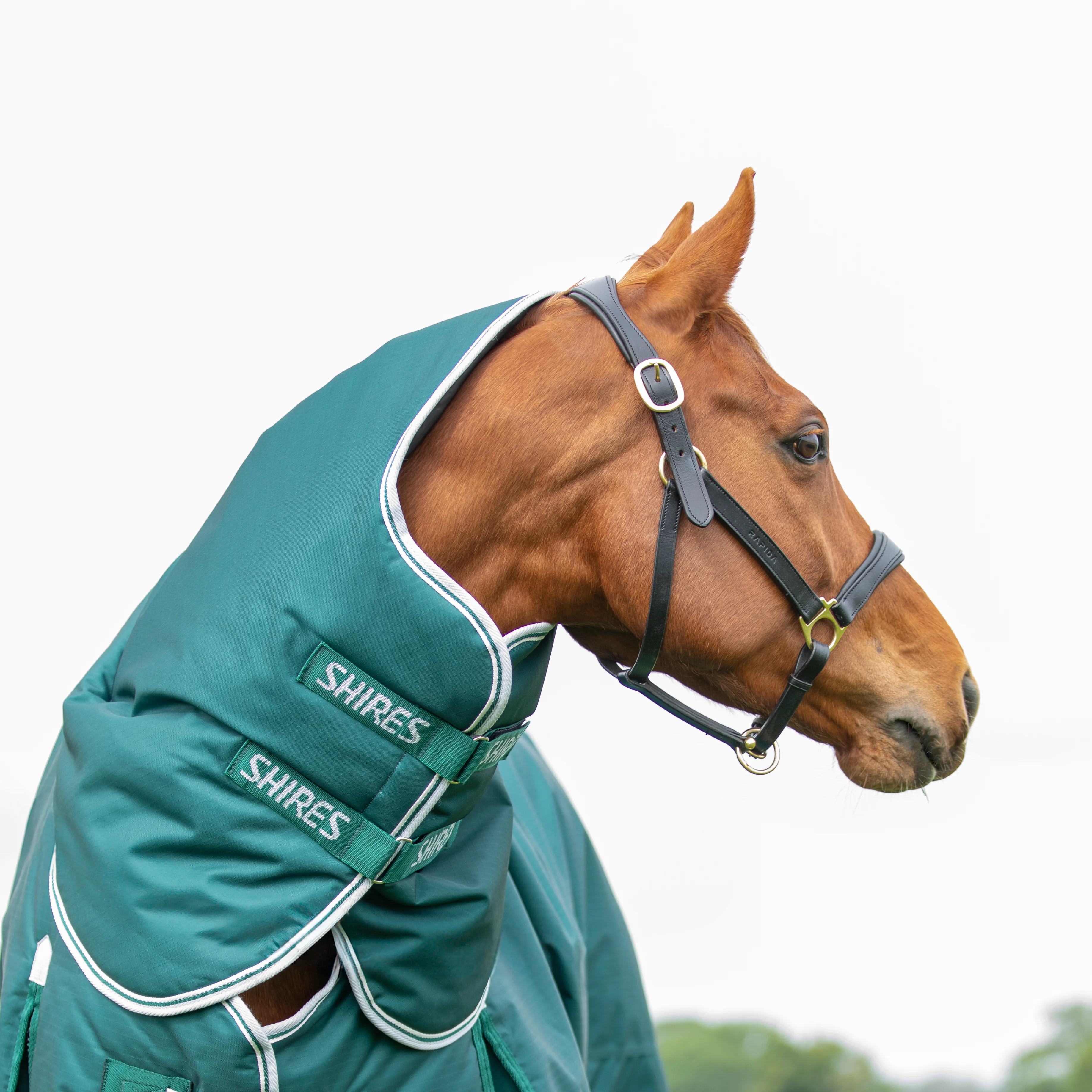 Shires Highlander Original 300g Turnout Neck Cover - Image 3