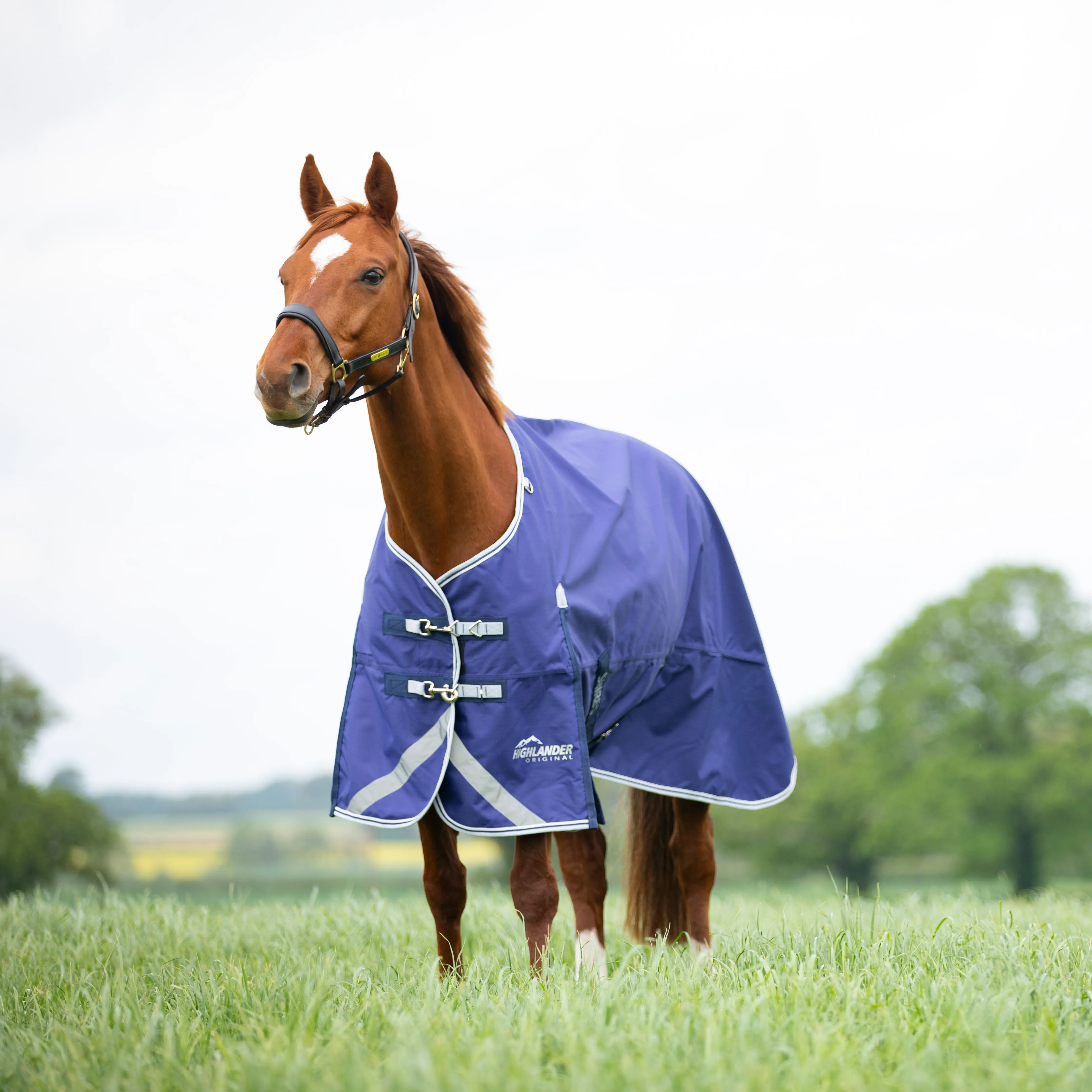 Shires Highlander Original Lite Turnout Rug - Image 17