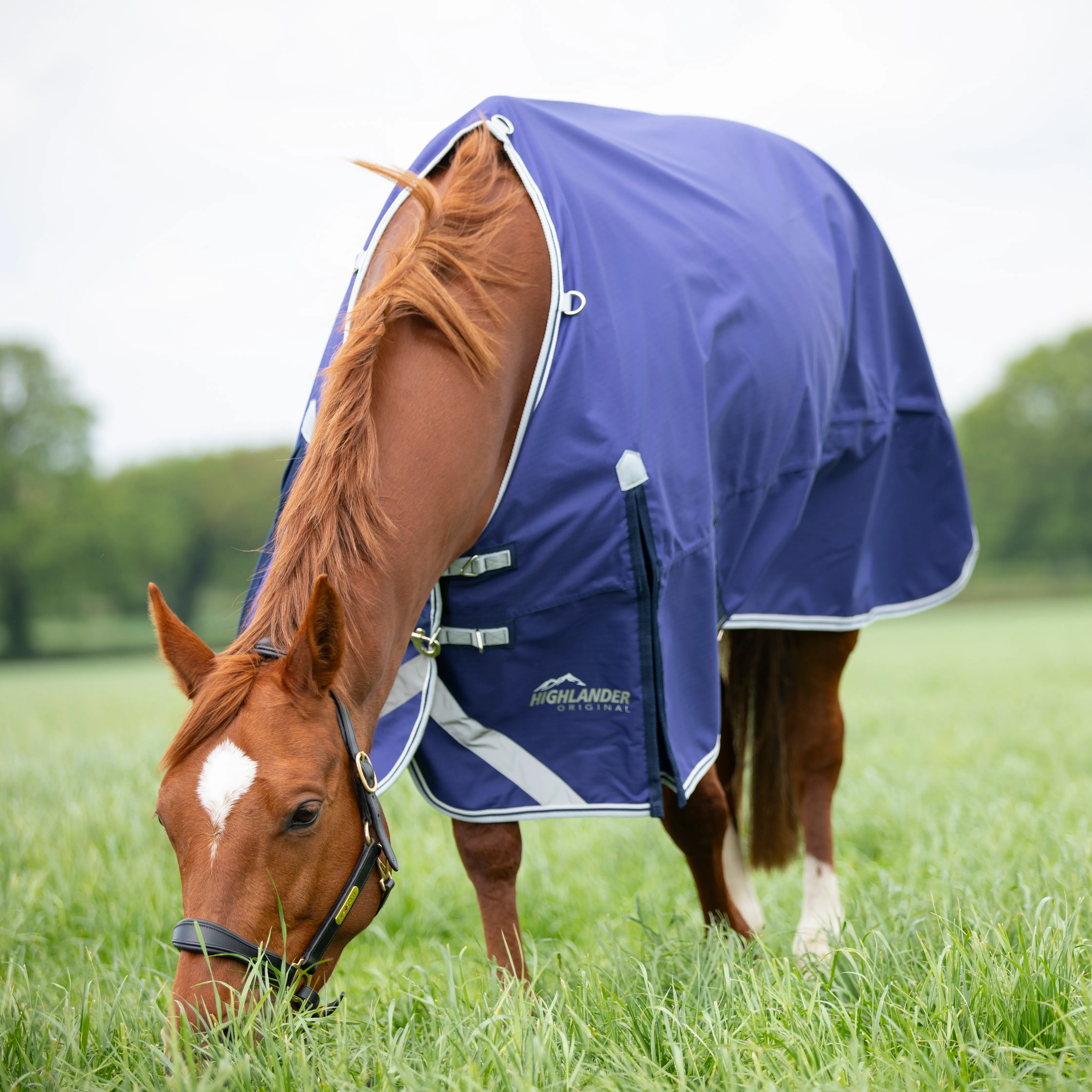 Shires Highlander Original Lite Turnout Rug - Image 18