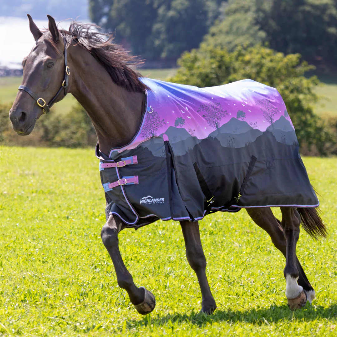 Shires Highlander Original Lite Turnout Rug - Image 4