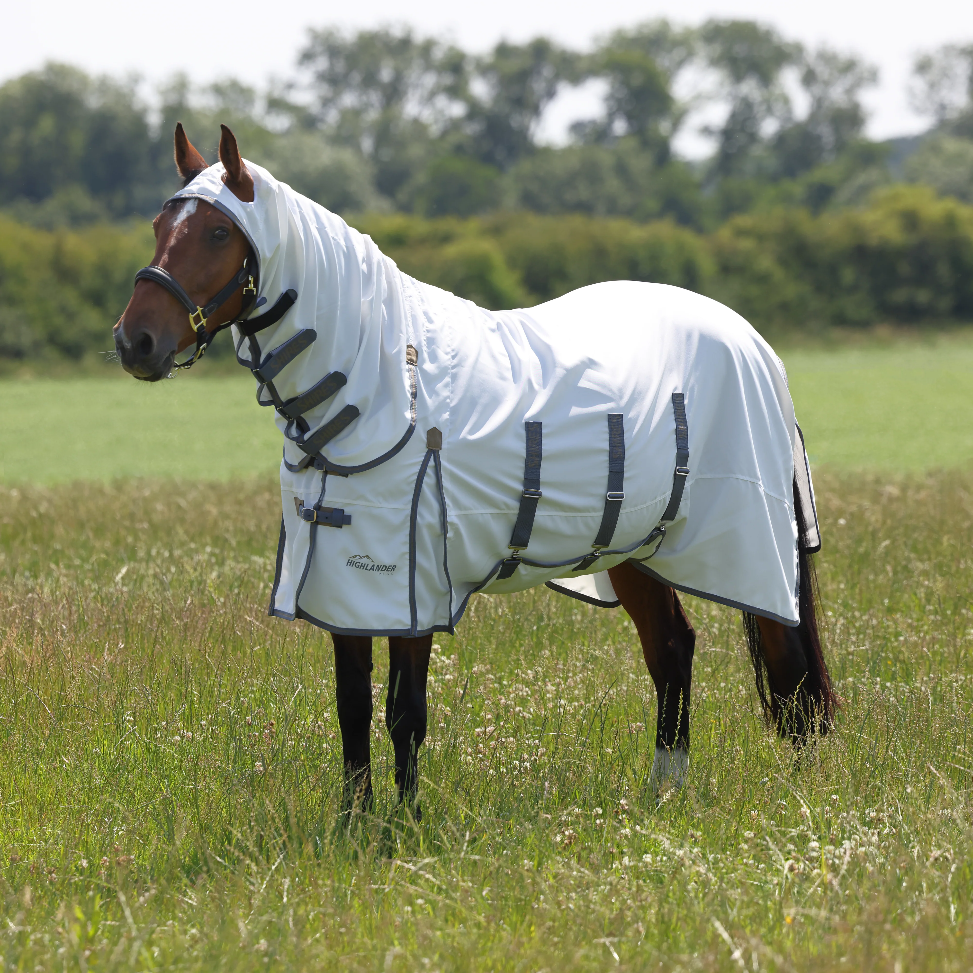 Shires Highlander Plus Sweet-itch Combo Rug - Image 8