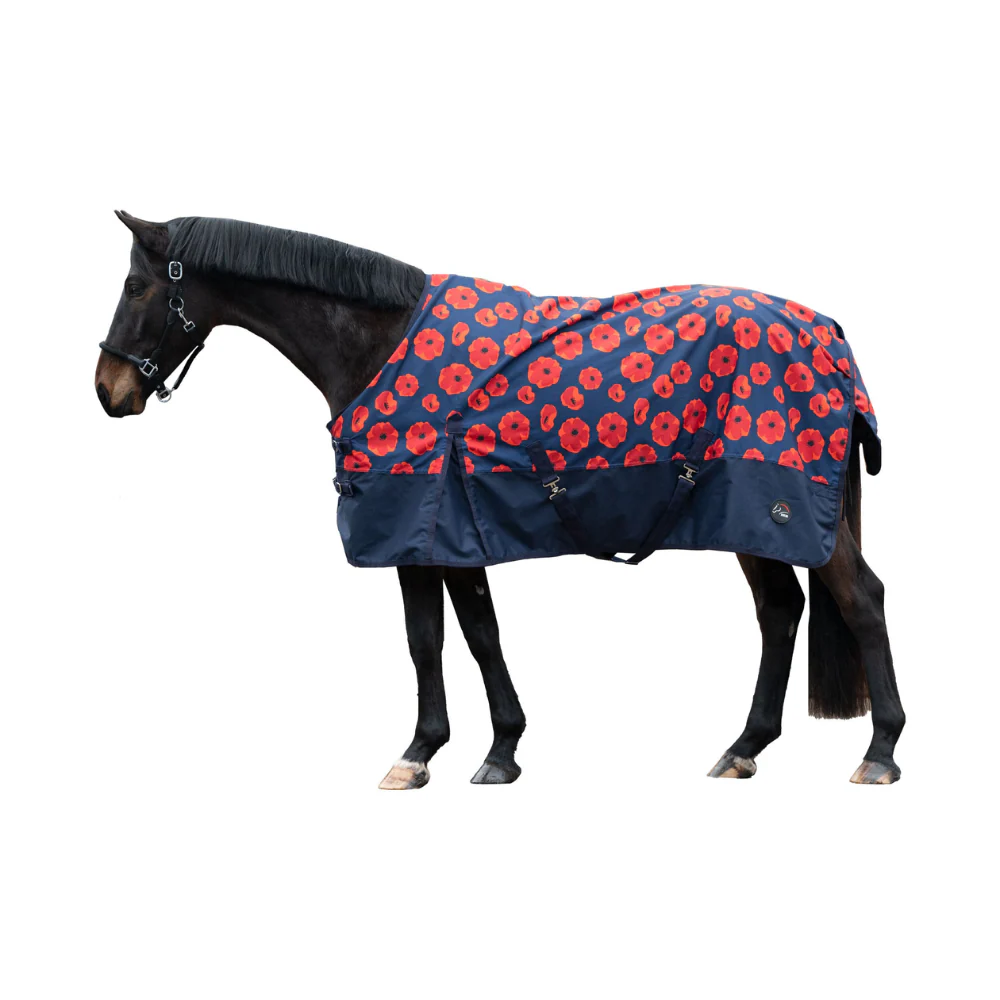 HKM 600D 300g Turnout Rug -Poppy- - Image 2