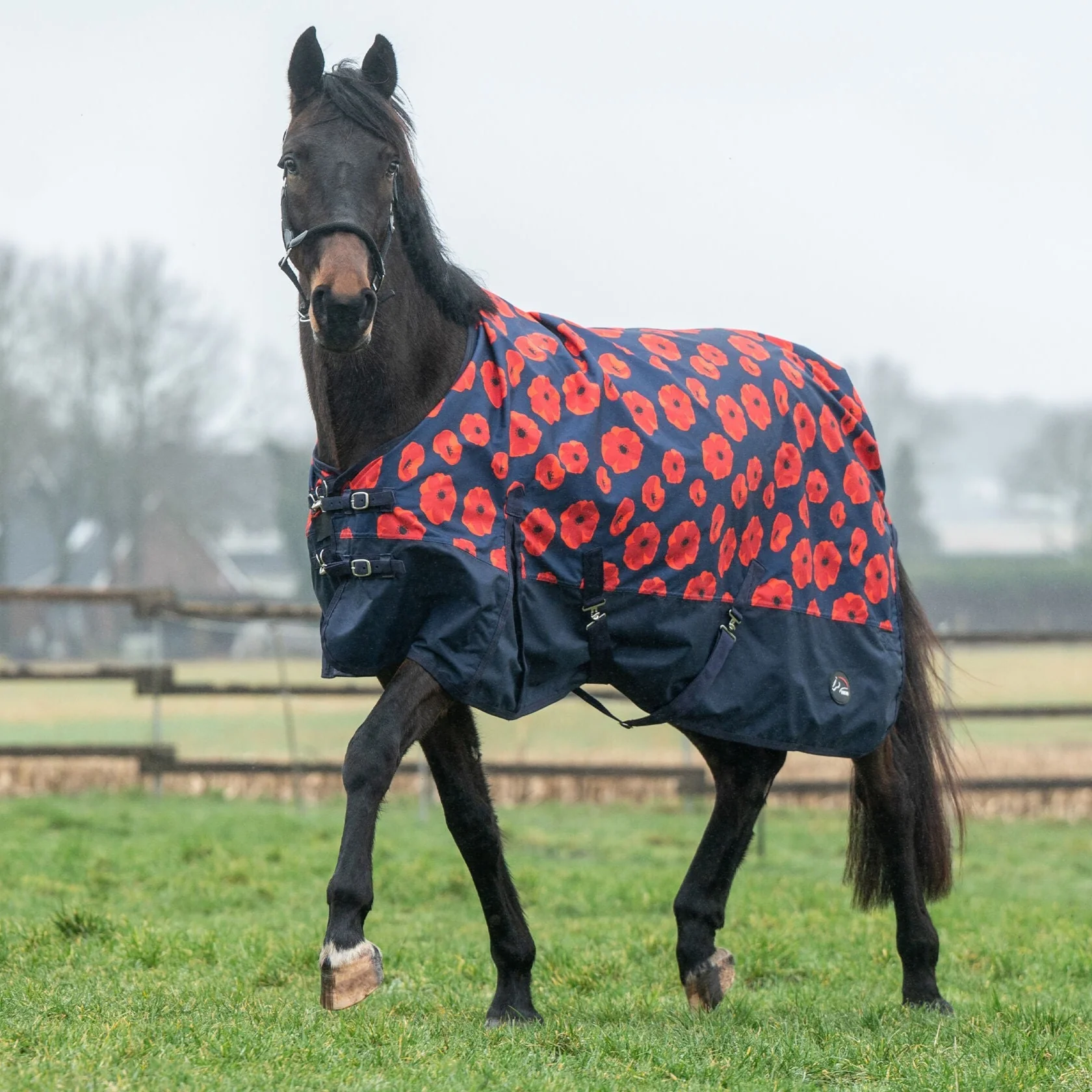 HKM 600D 300g Turnout Rug -Poppy- - Image 3