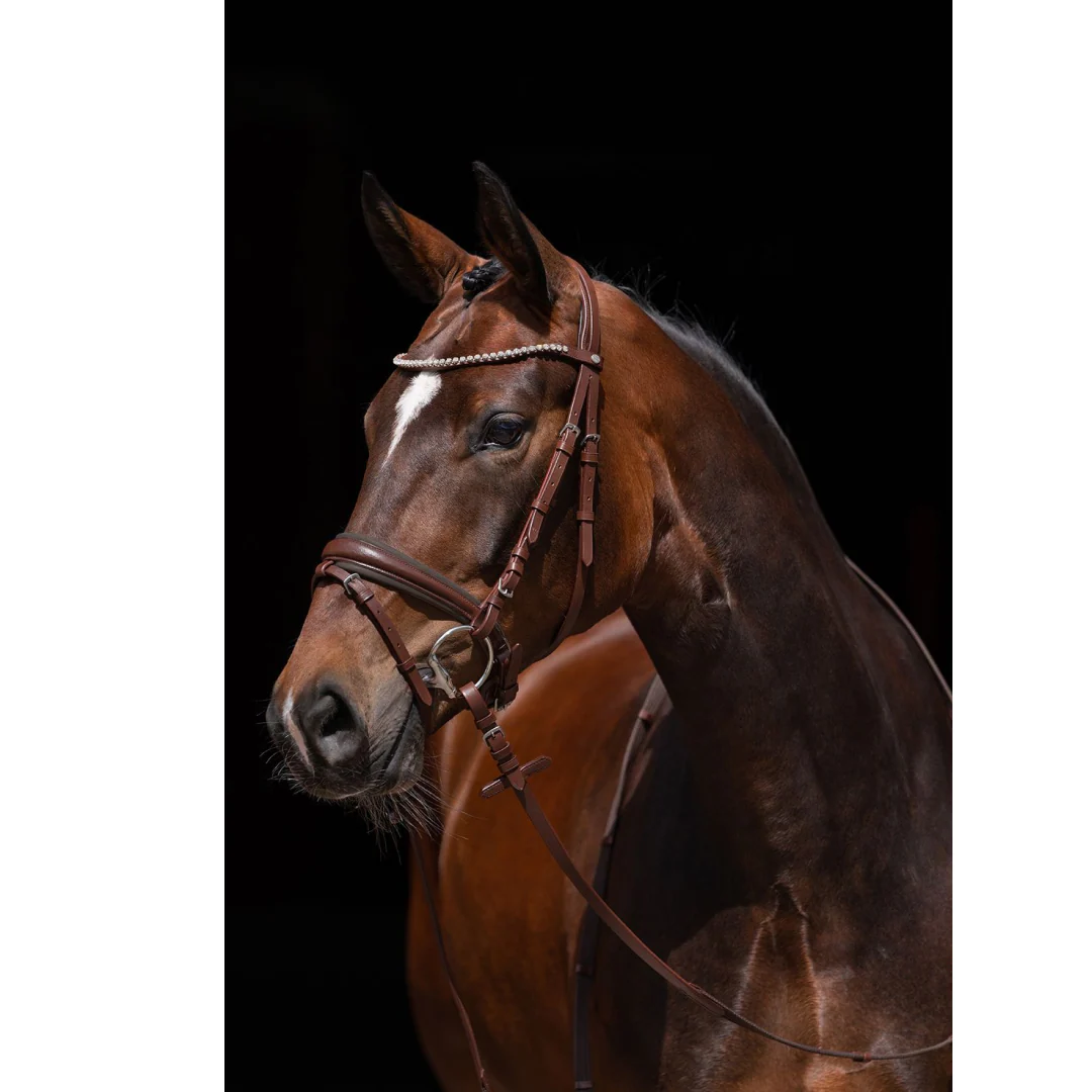 HKM Flora Bridle - Image 3