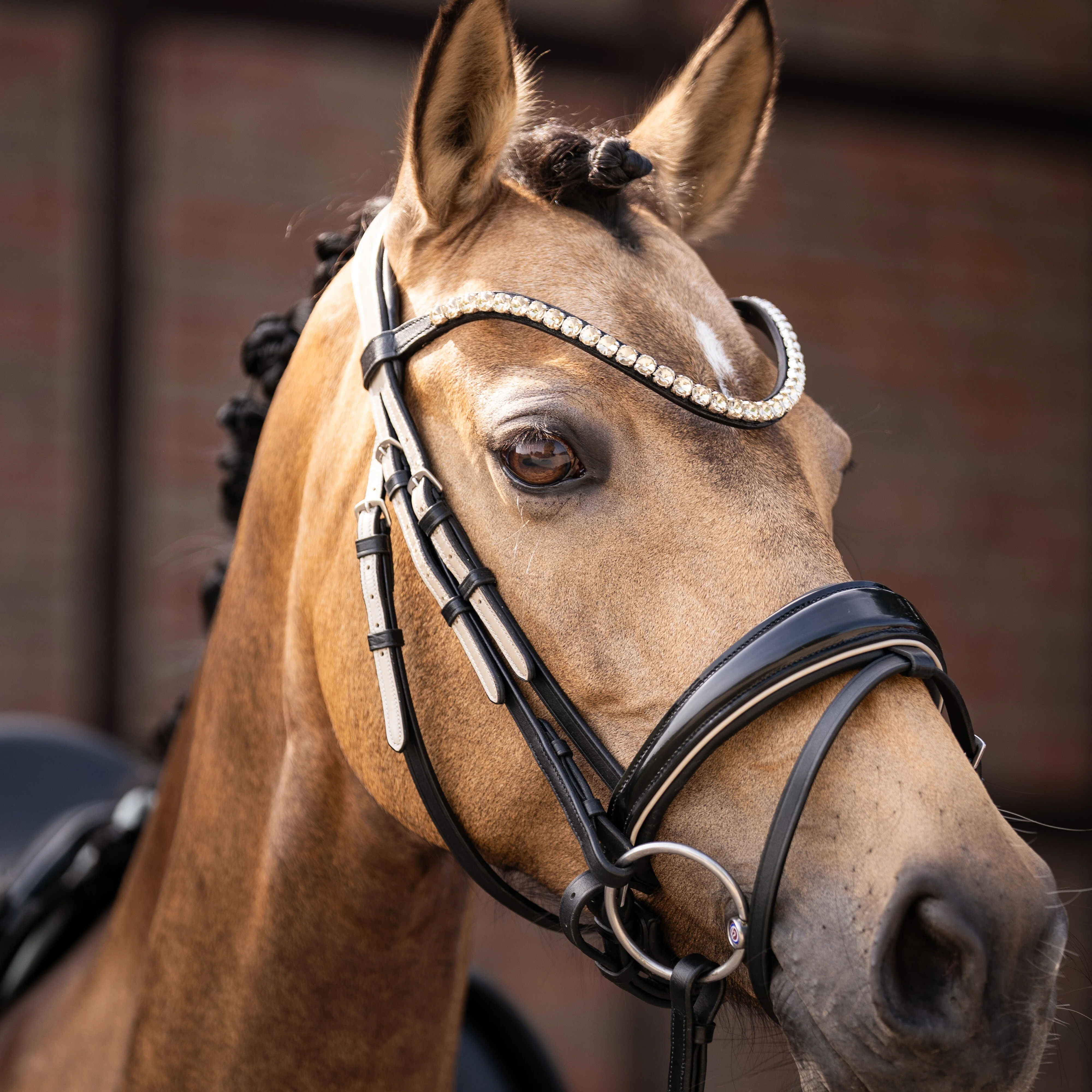 HKM Bridle -Limone Elegant- - Image 3