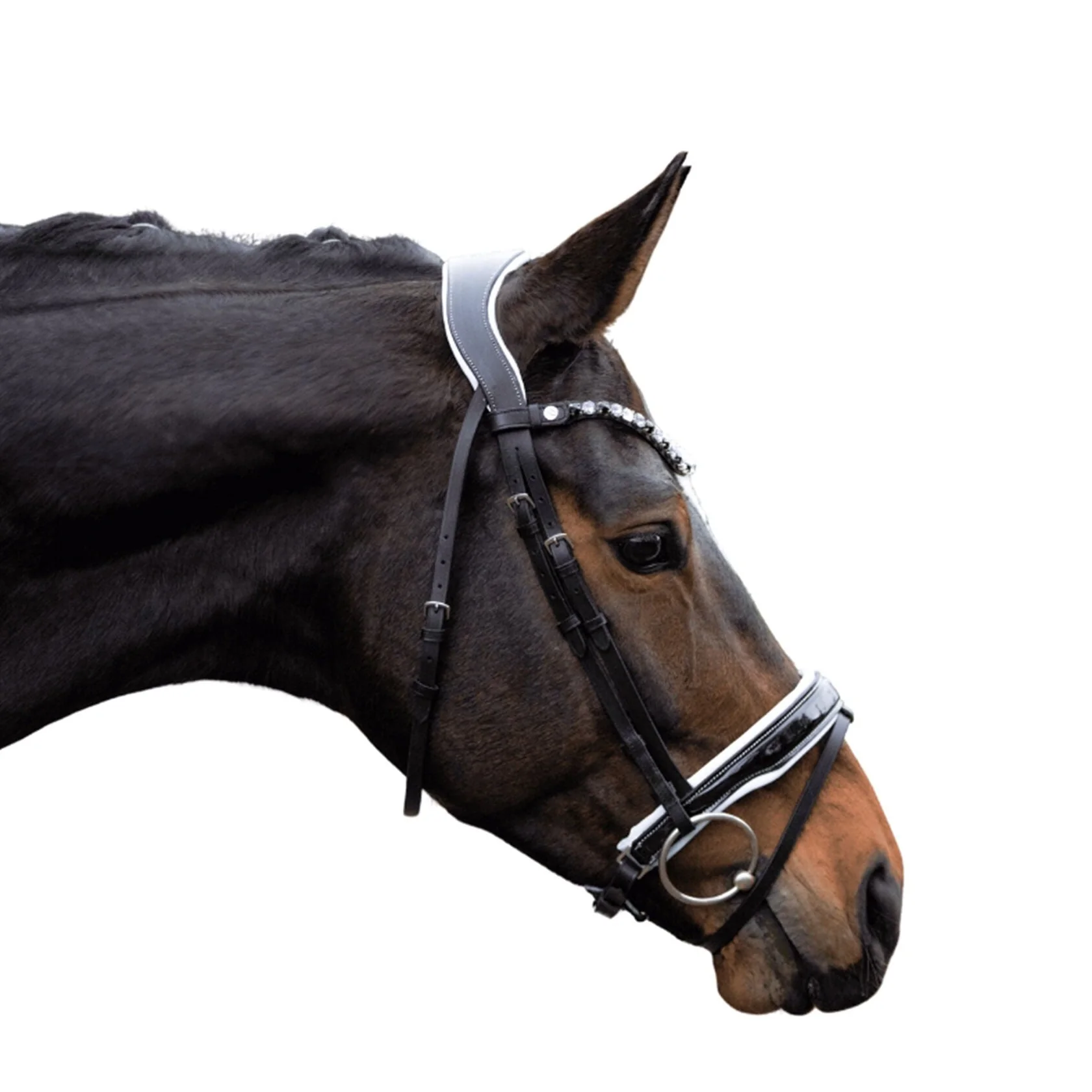 HKM Bridle -Manchester- - Image 6