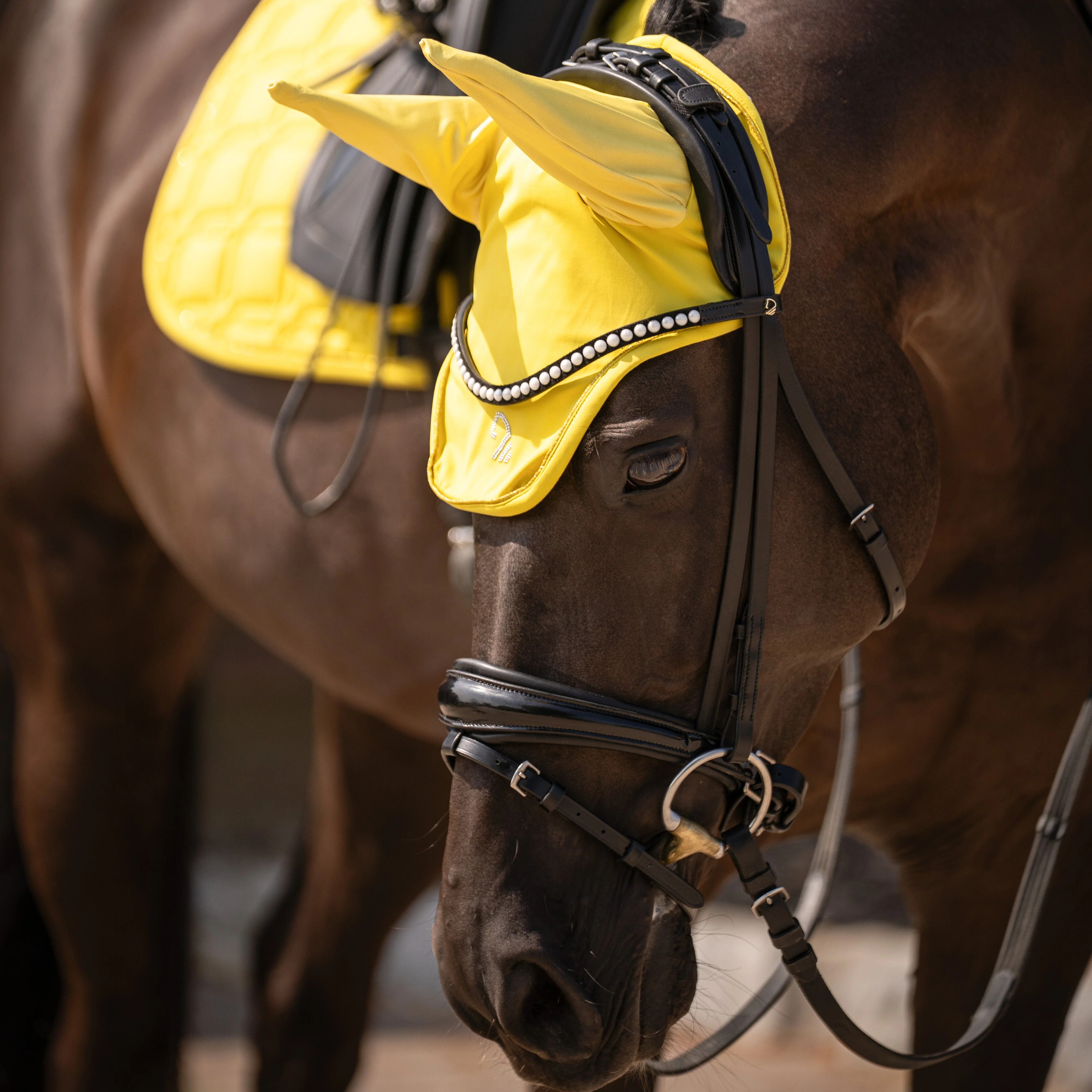 HKM Ear Bonnet -Limone- - Image 6