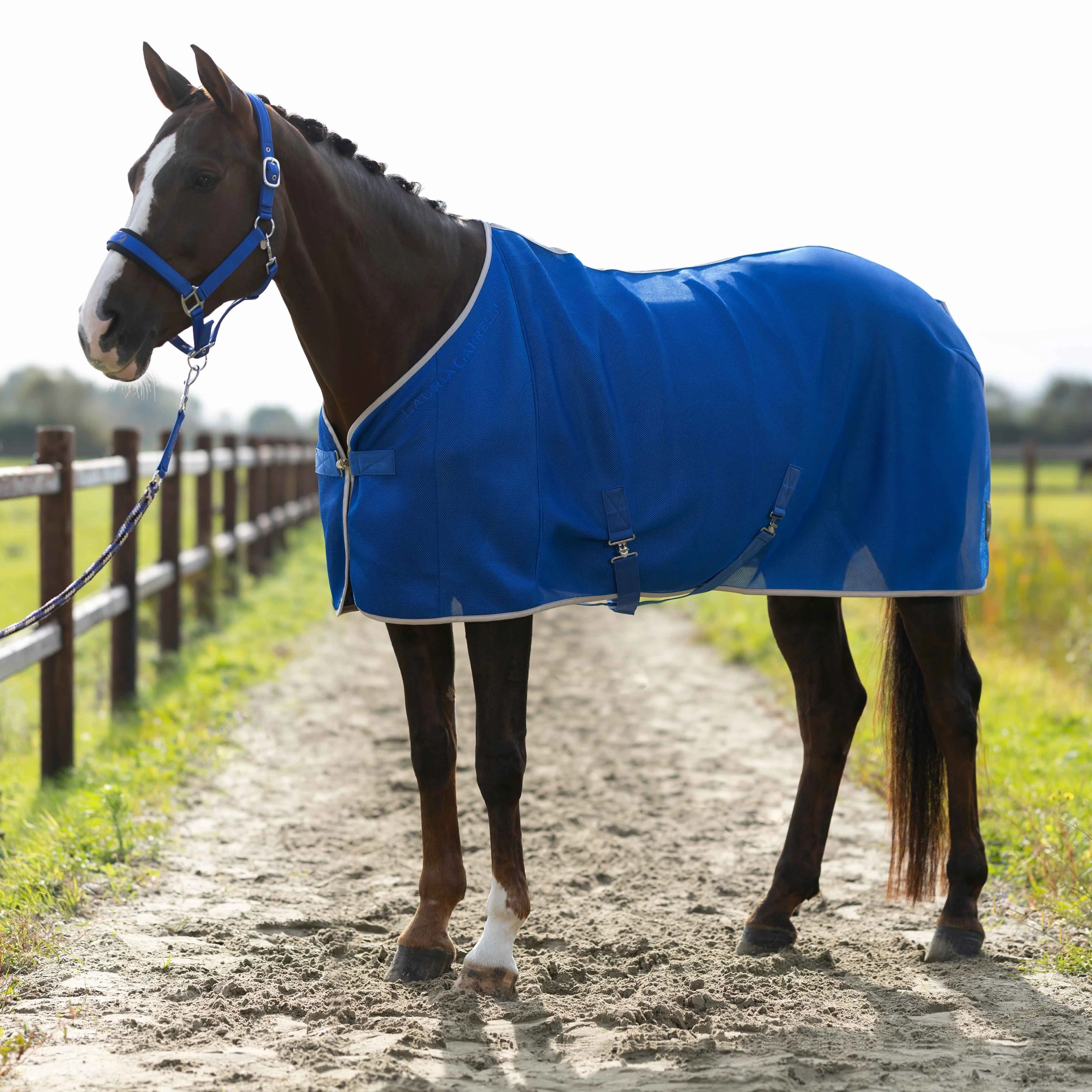 HKM Fly Rug -Amalfi- - Image 3