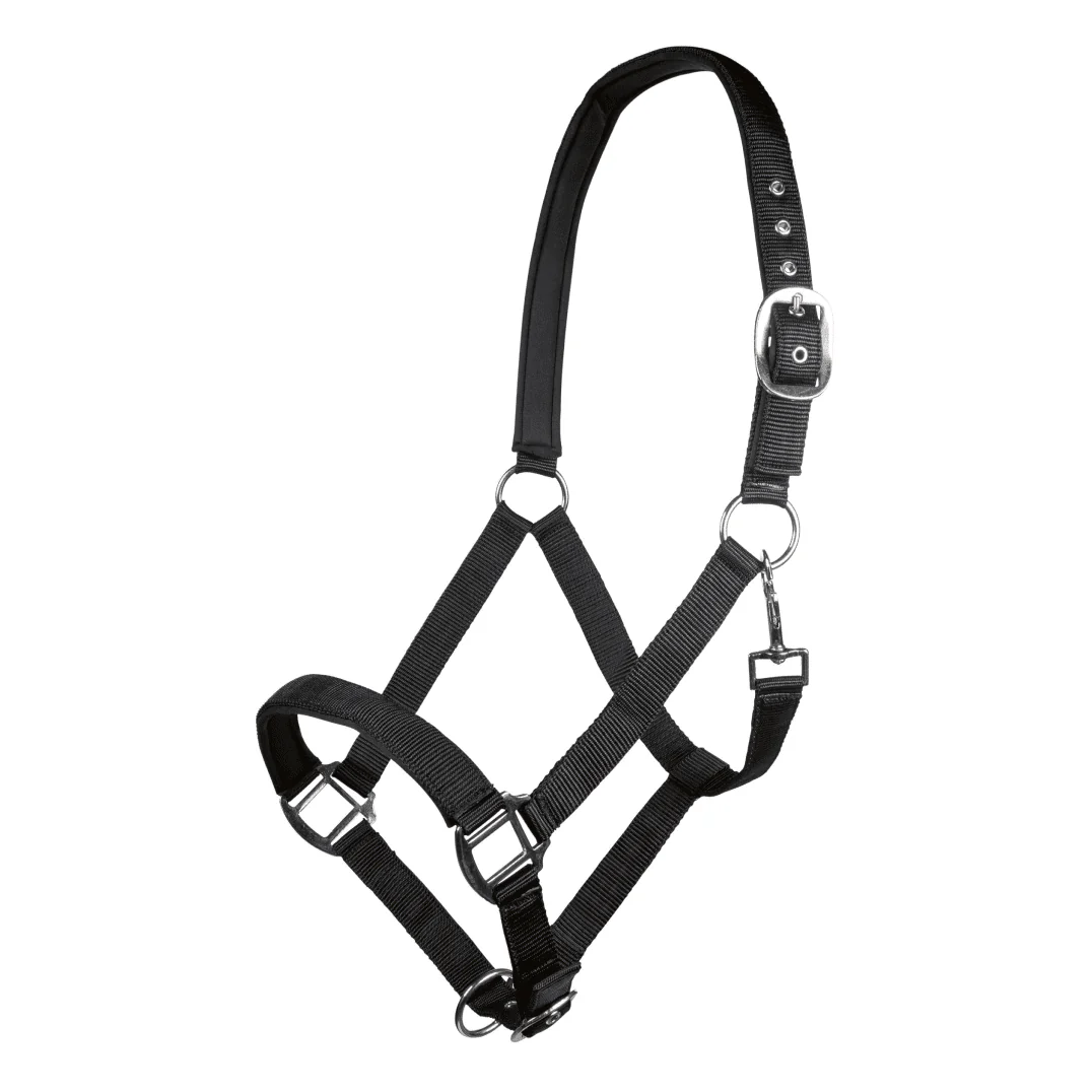 HKM Charming Head Collar - Image 10