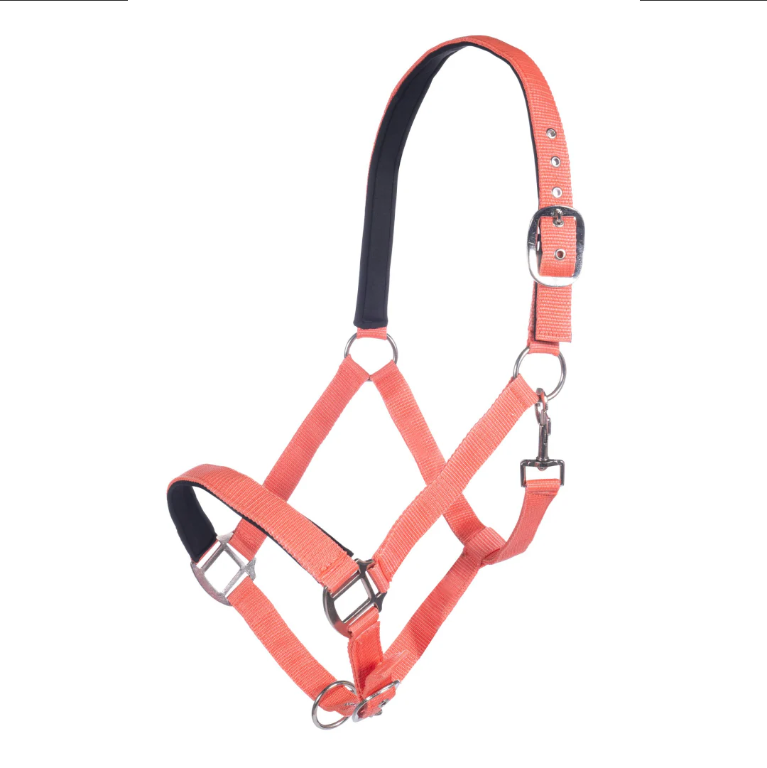 HKM Charming Head Collar - Image 4