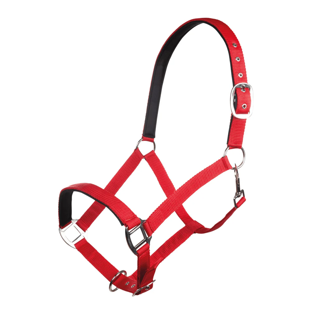 HKM Charming Head Collar - Image 5