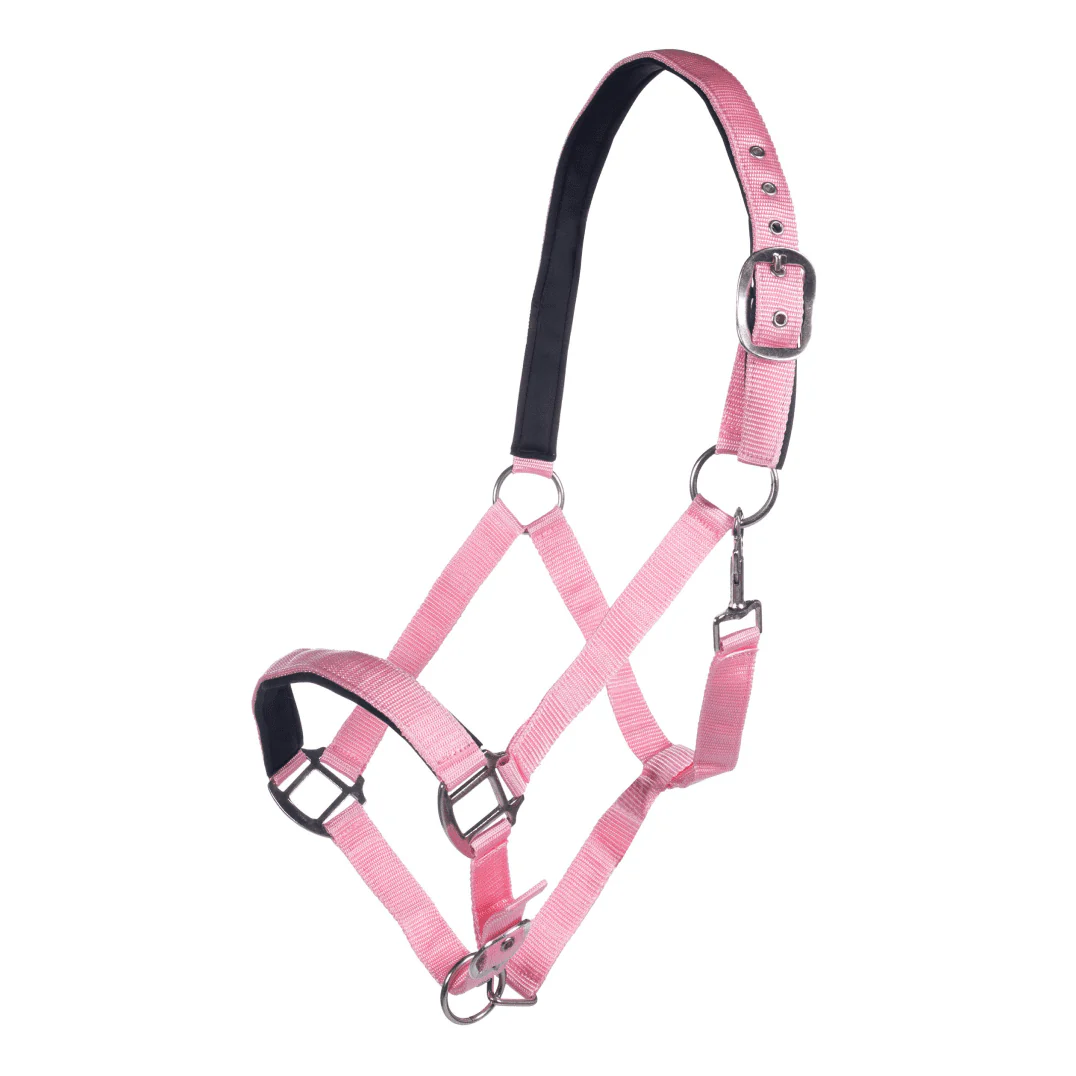 HKM Charming Head Collar - Image 6