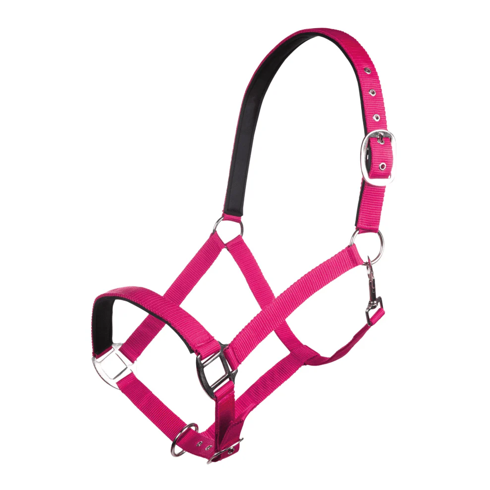 HKM Charming Head Collar - Image 7