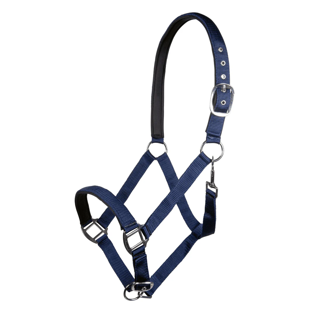 HKM Charming Head Collar - Image 9