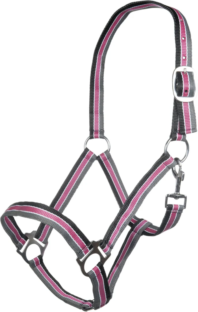 HKM Genf Head Collar