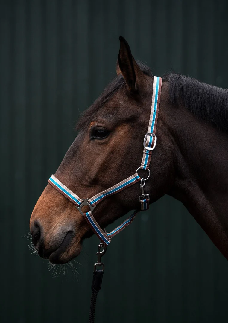 HKM Genf Head Collar - Image 3