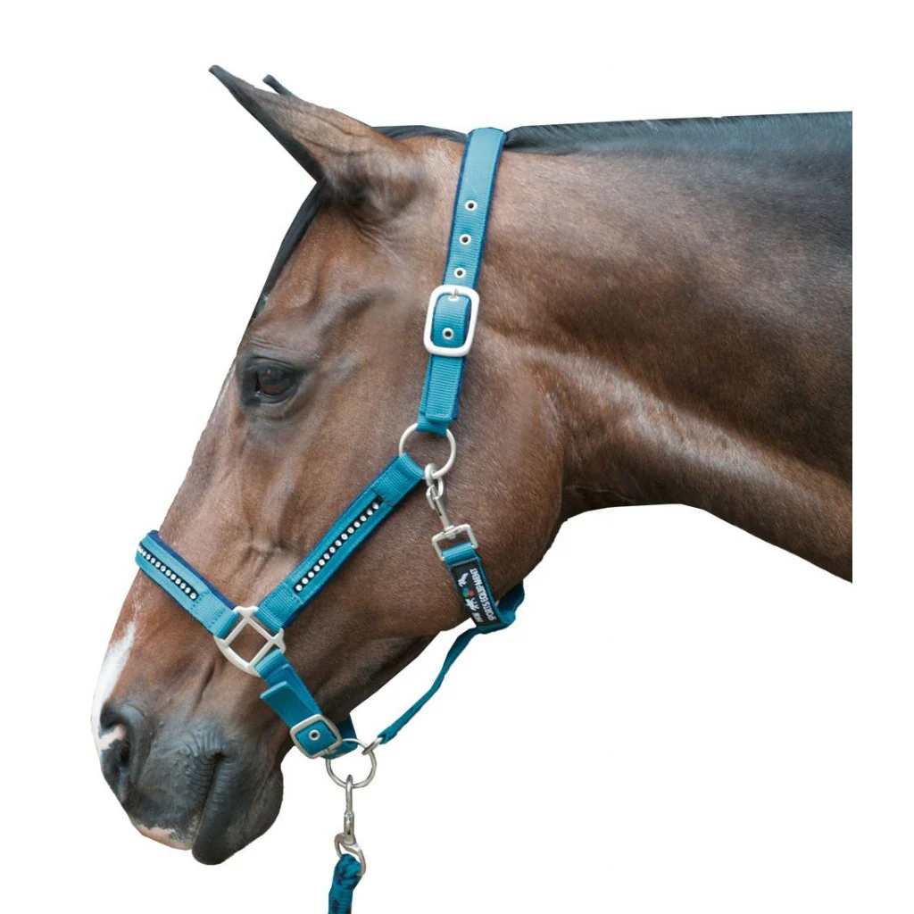 HKM Head Collar & Lead Rope Set -Crystal- Soft Padded - Image 6