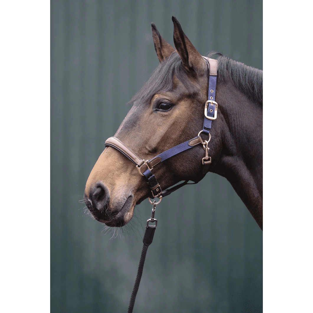 HKM Luna Leather & Nylon Head Collar - Image 3