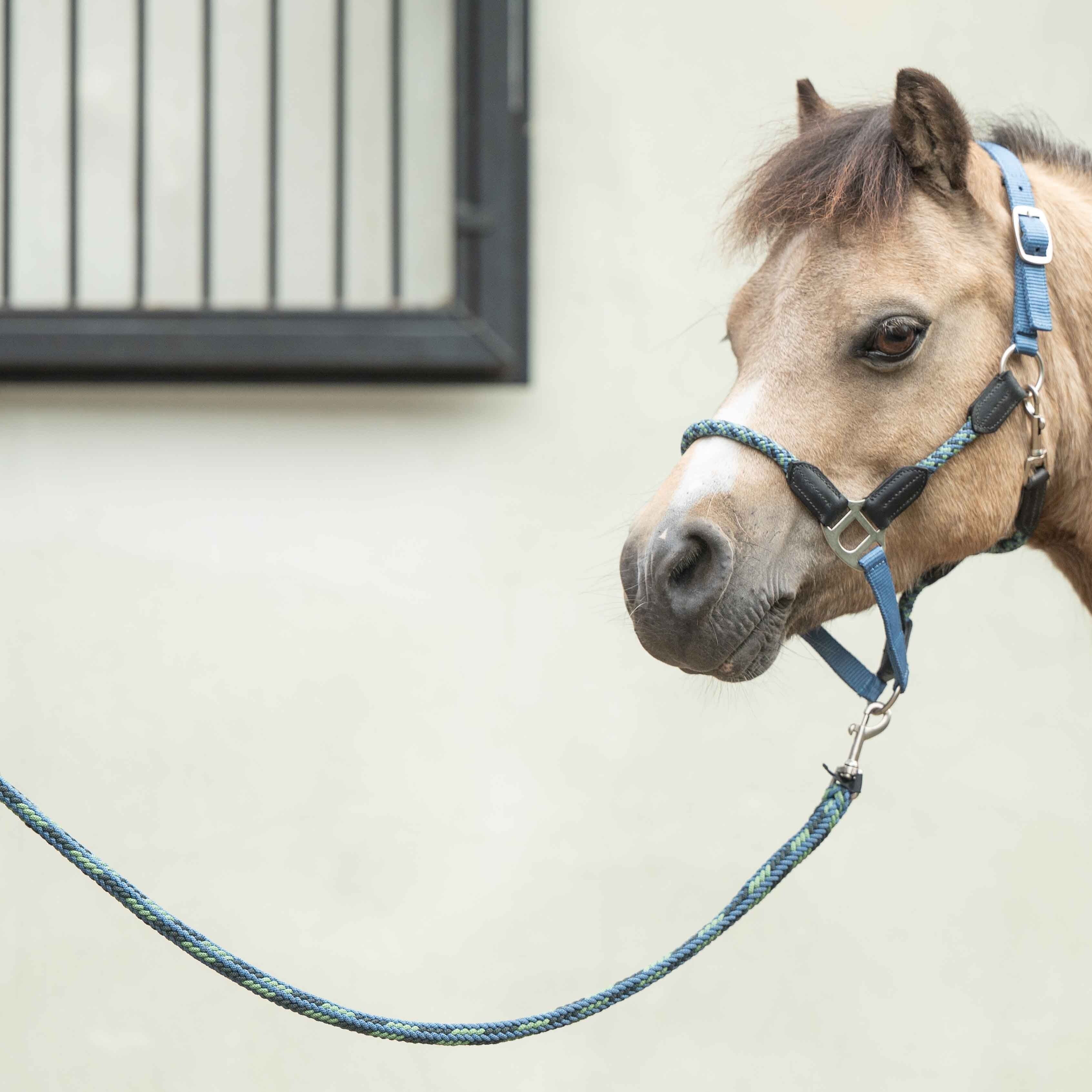 HKM Head Collar -Nele- - Image 4