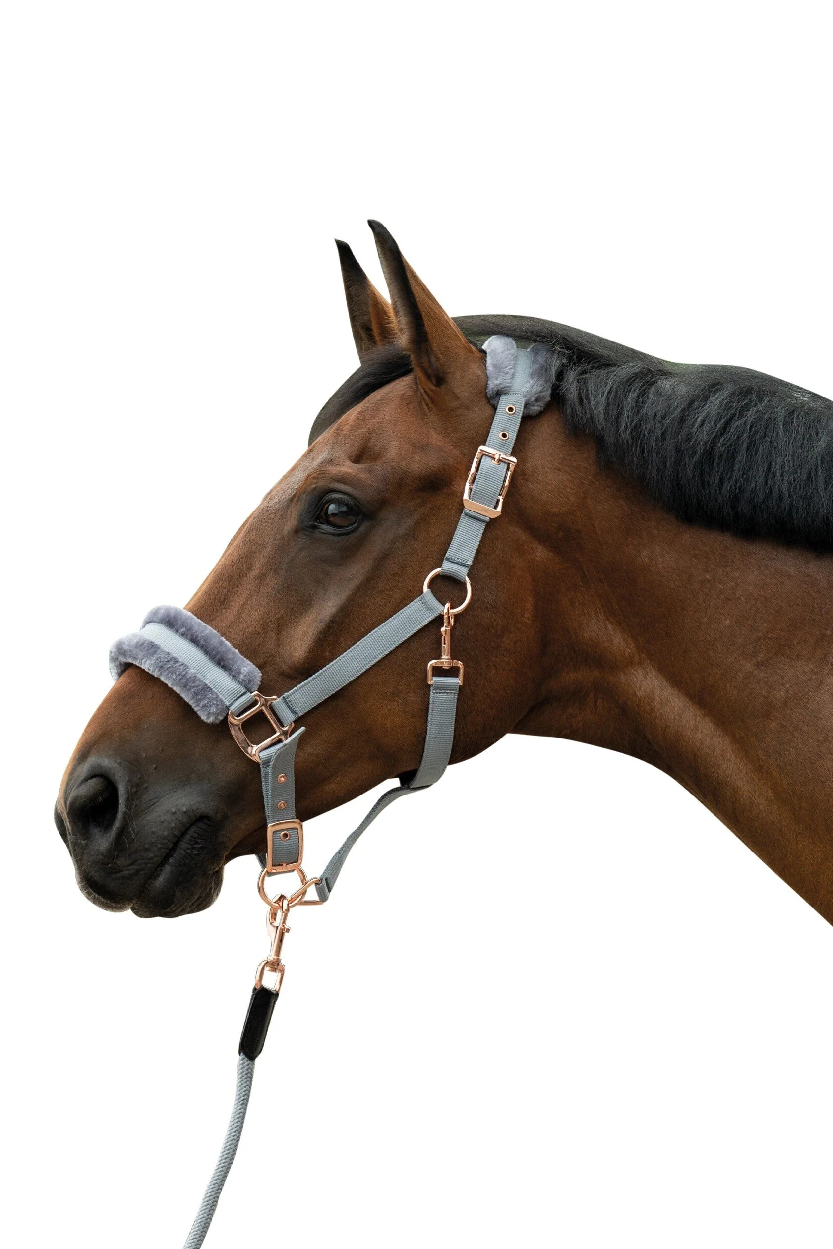 HKM Head Collar -Rosegold Glamour- Style - Image 2