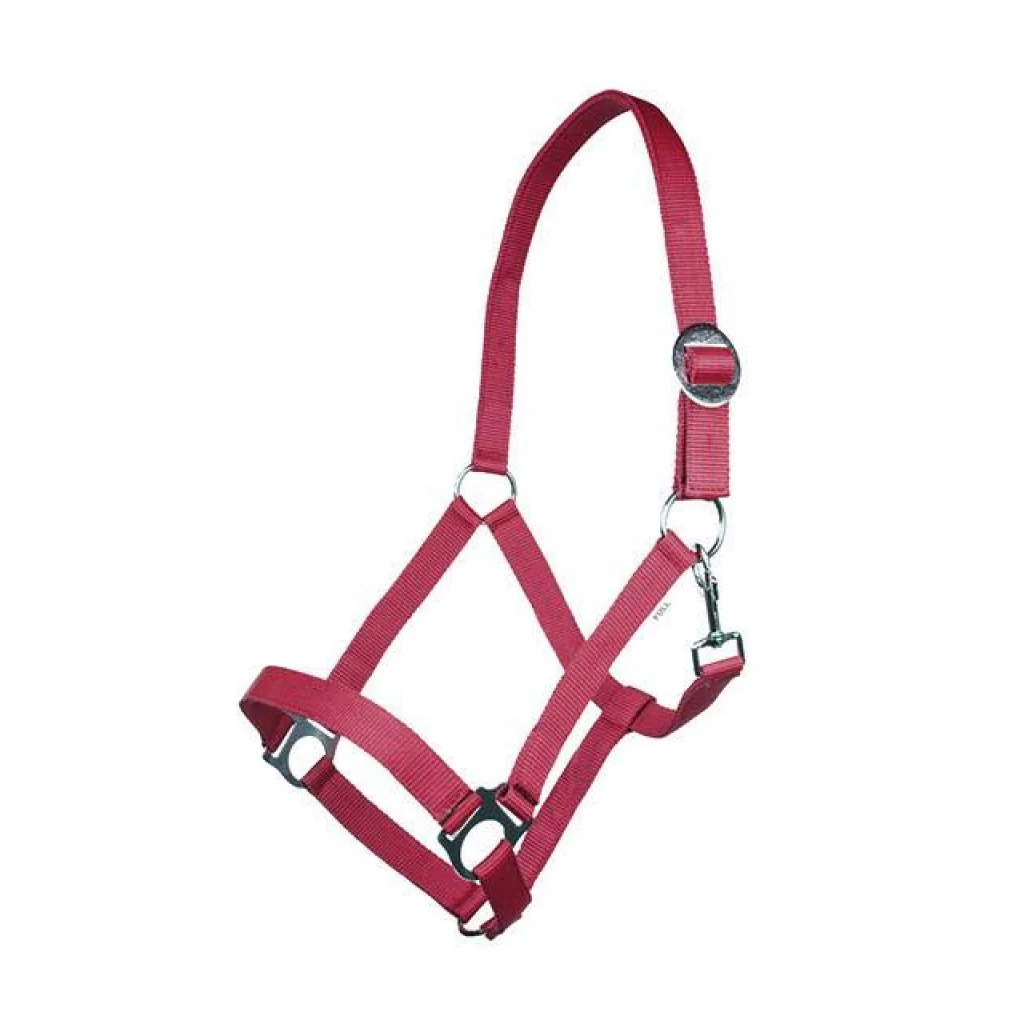 HKM Head collar -Stars Economy Softice- - Image 10