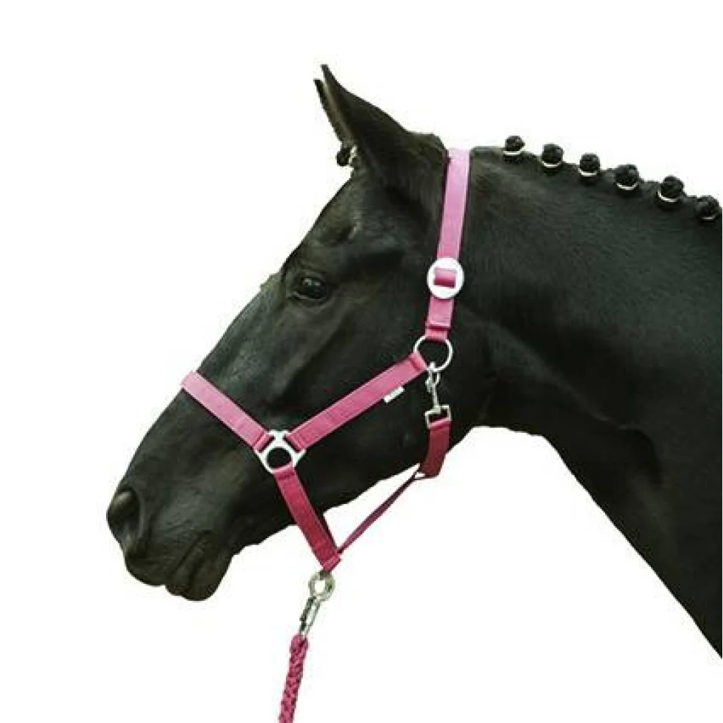 HKM Head collar -Stars Economy Softice- - Image 11