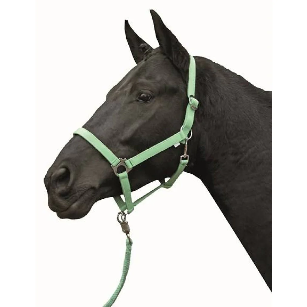 HKM Head collar -Stars Economy Softice- - Image 5