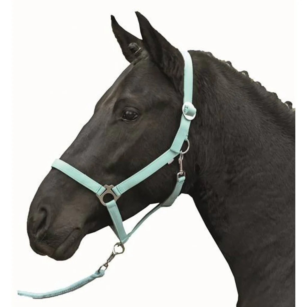 HKM Head collar -Stars Economy Softice- - Image 6