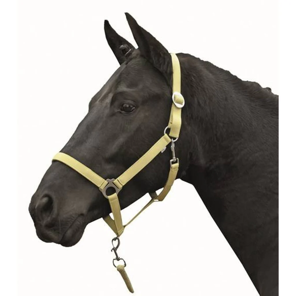 HKM Head collar -Stars Economy Softice- - Image 7