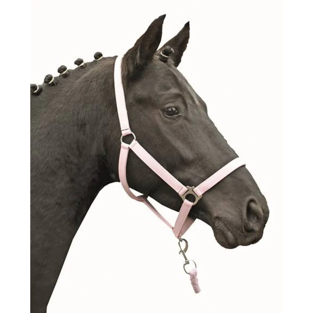 HKM Head collar -Stars Economy Softice- - Image 8