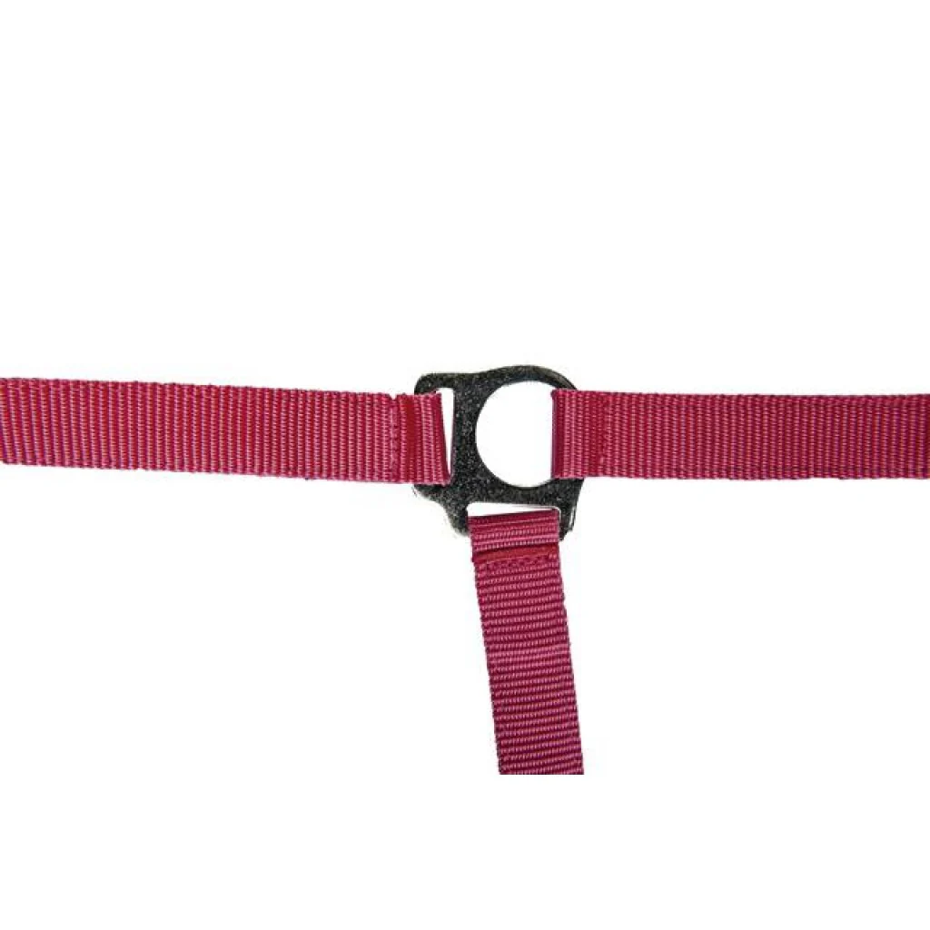 HKM Head collar -Stars Economy Softice- - Image 9