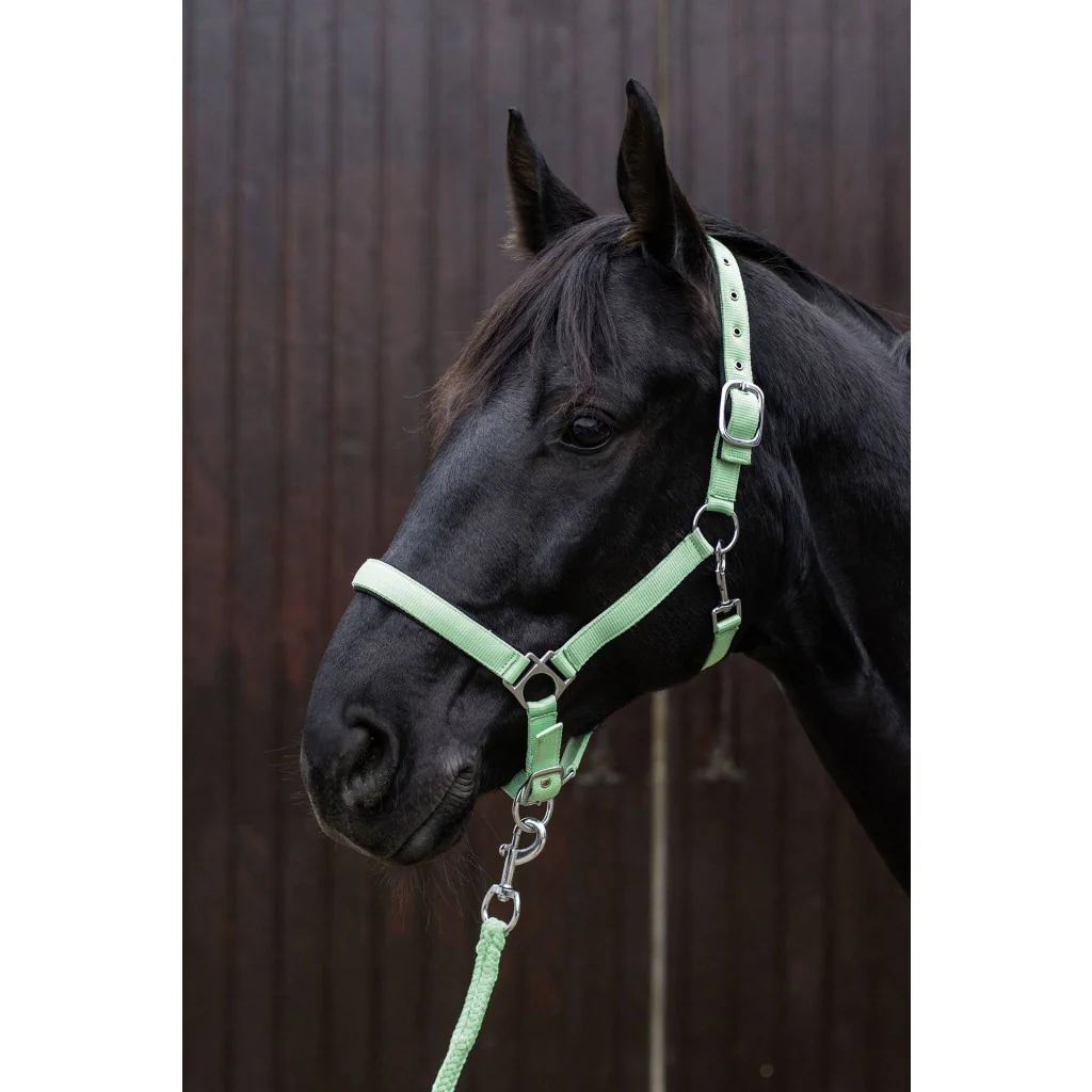 HKM Head collar -Stars Softice- with soft padding - Image 3