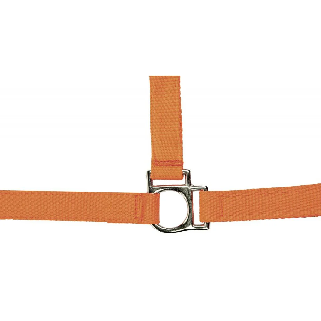 HKM Head collar -Stars Softice- with soft padding - Image 6