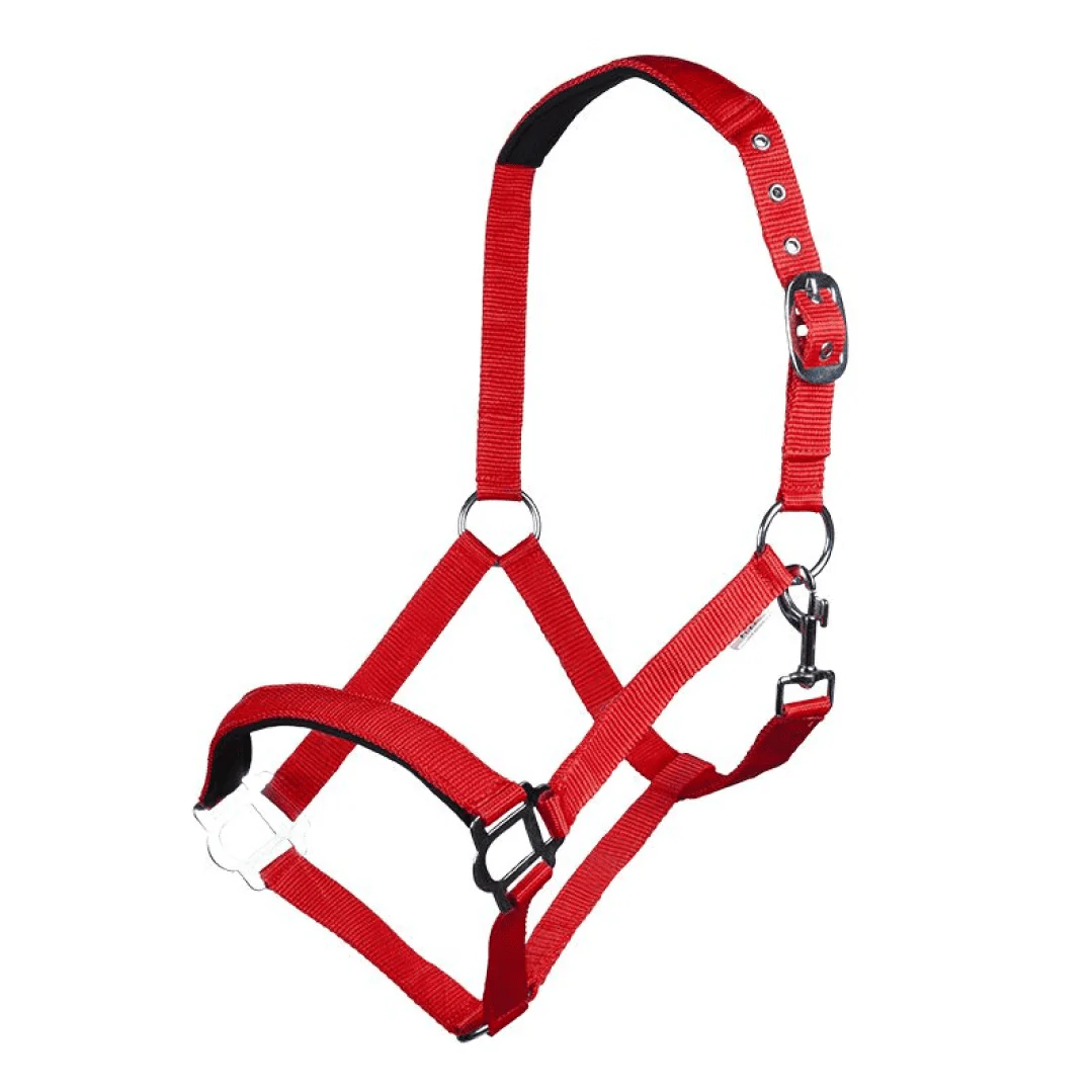 HKM Sydney Style Head Collar With Soft Padding - Image 7