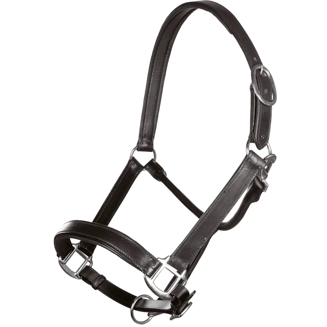 HKM Economic Leather Head Collar - Image 3