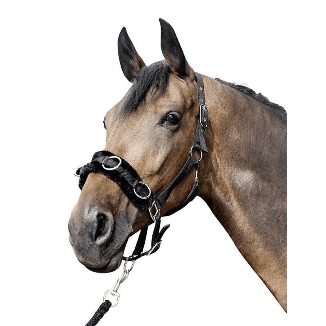 HKM Lunge Cavesson With Plush Padding - Image 2