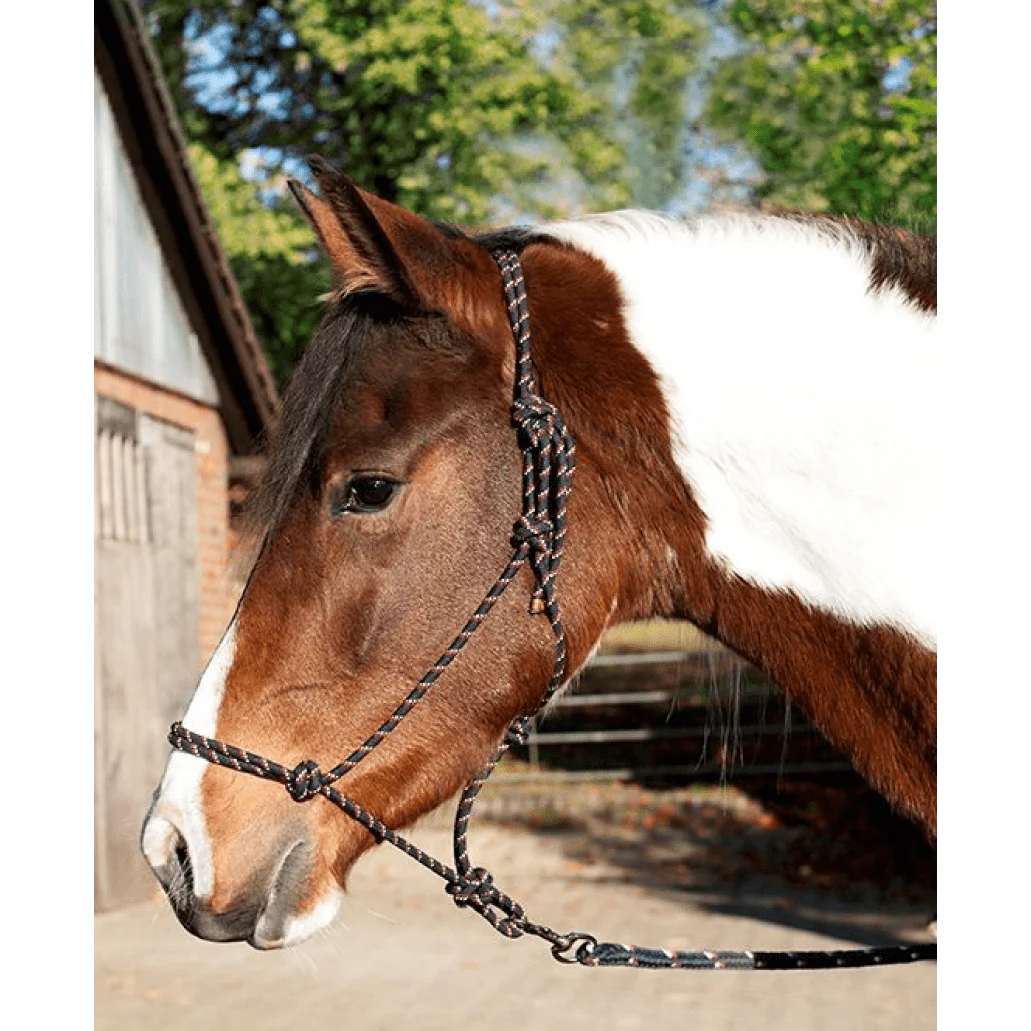 HKM Trust Rope Halter Set - Image 4