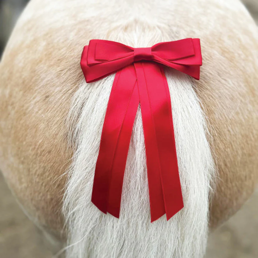 Equetech Horse Competition Warning Tail Ribbon - Image 4
