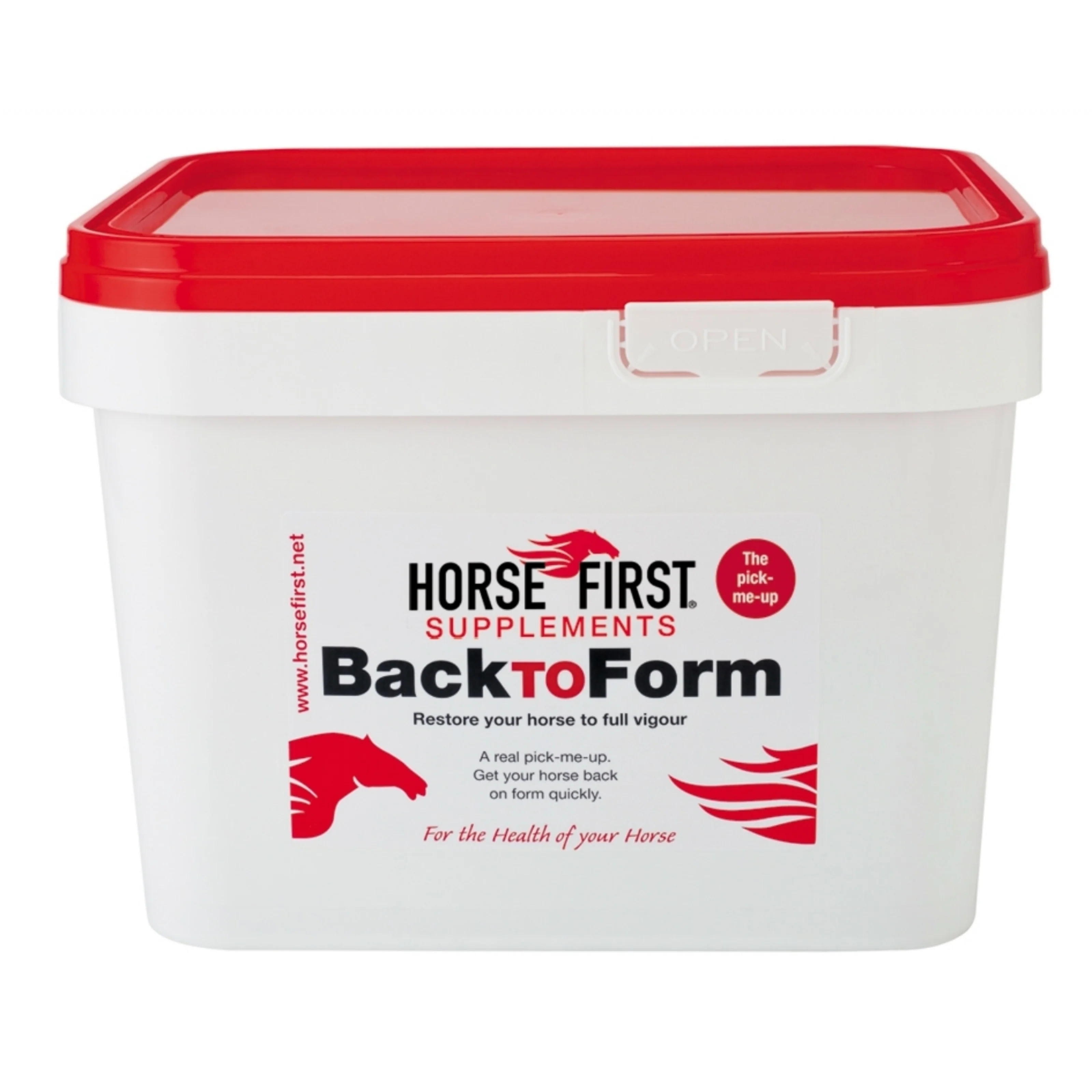 Horse First Back To Form - Image 2