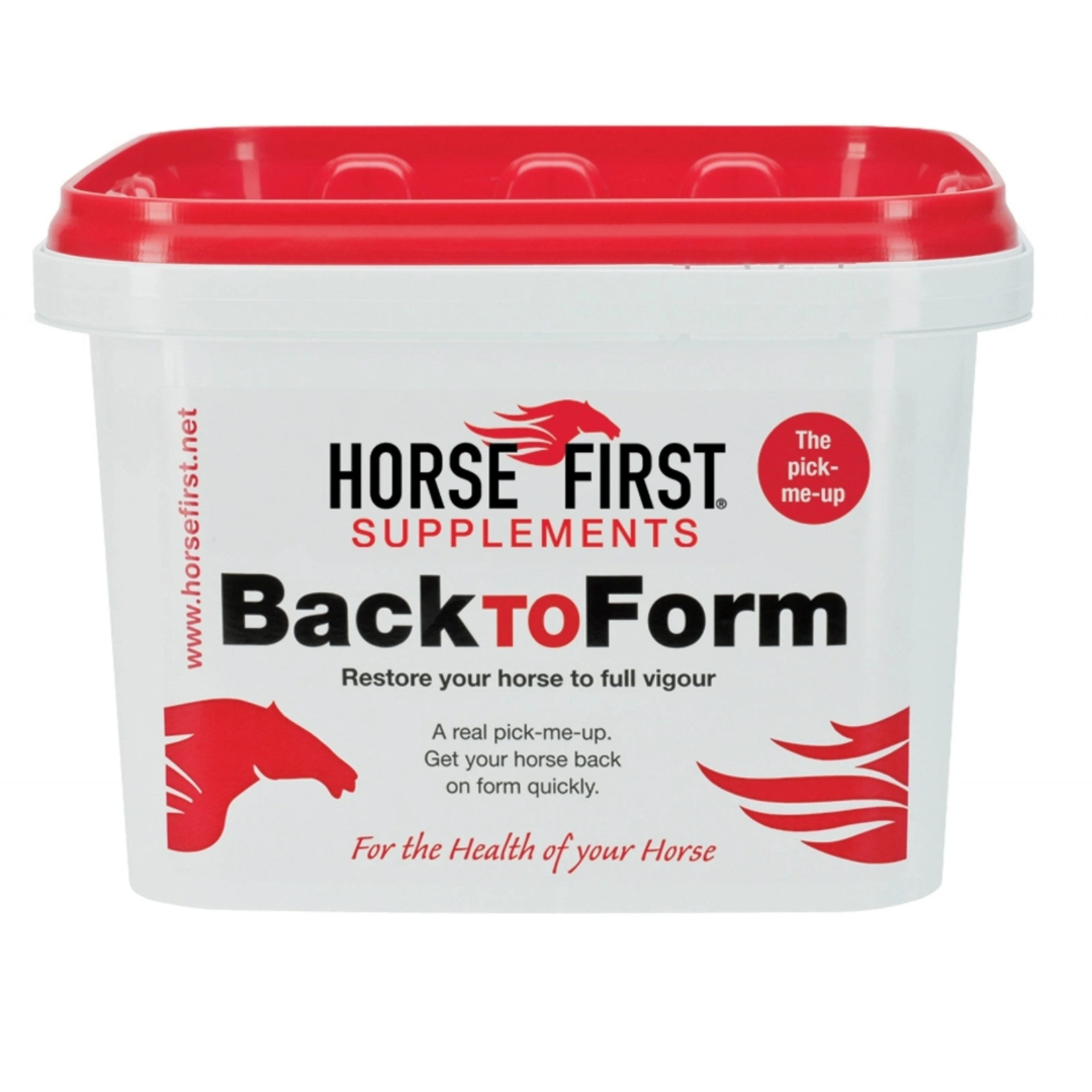 Horse First Back To Form - Image 3