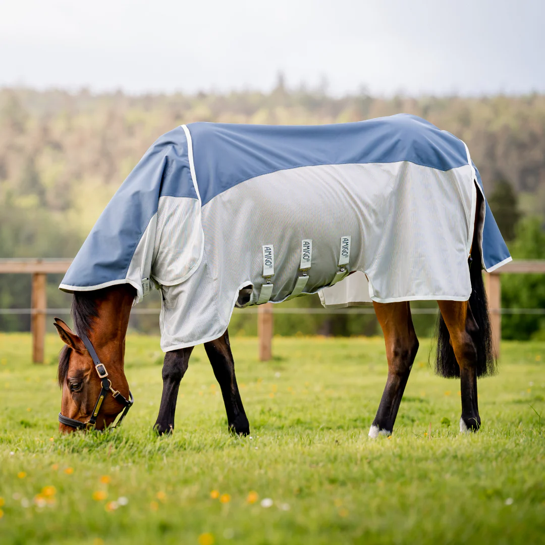 Horseware Amigo AmEco Combi - Image 3