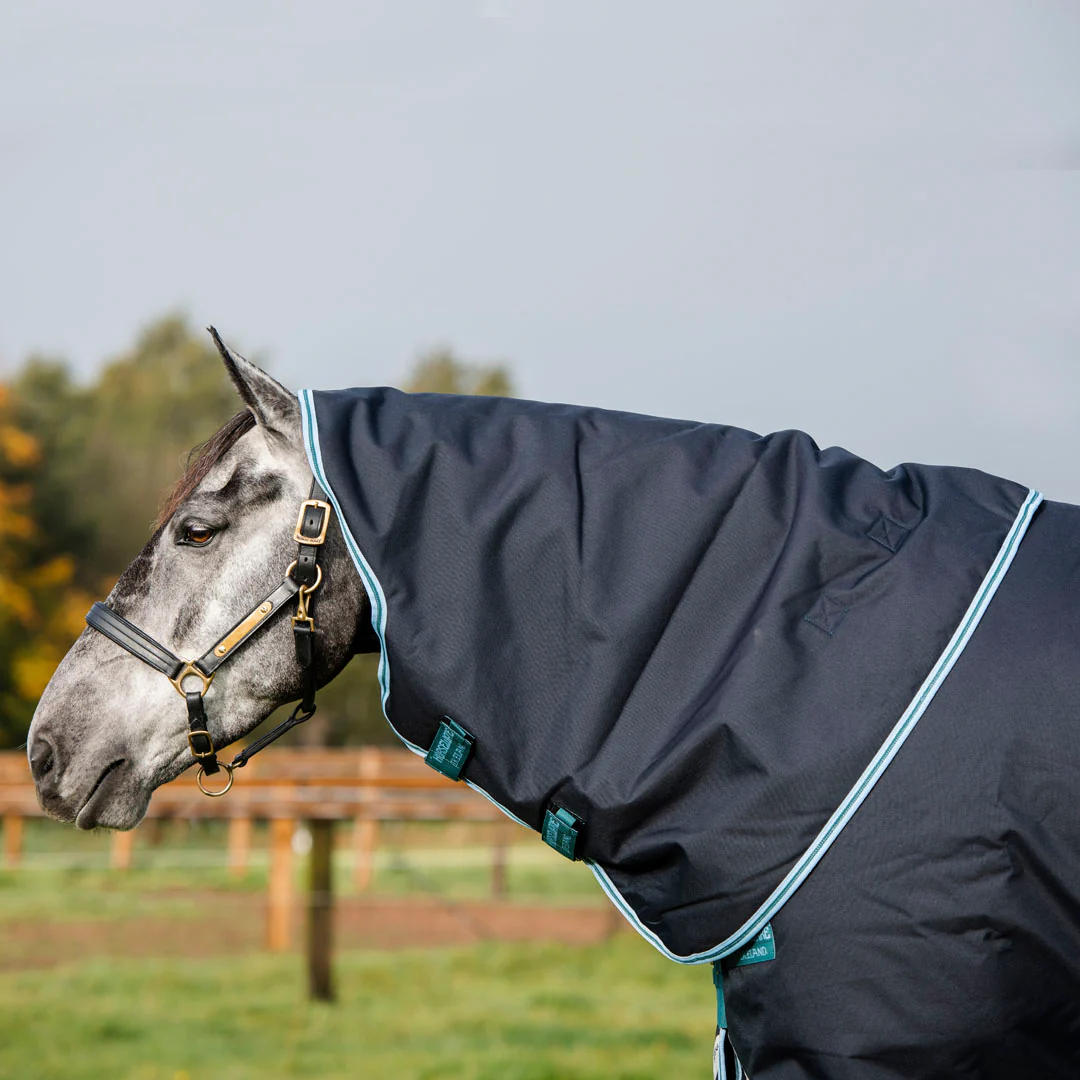 Horseware Ireland Amigo Bravo 12 Plus 250g Medium Turnout Rug - Image 15