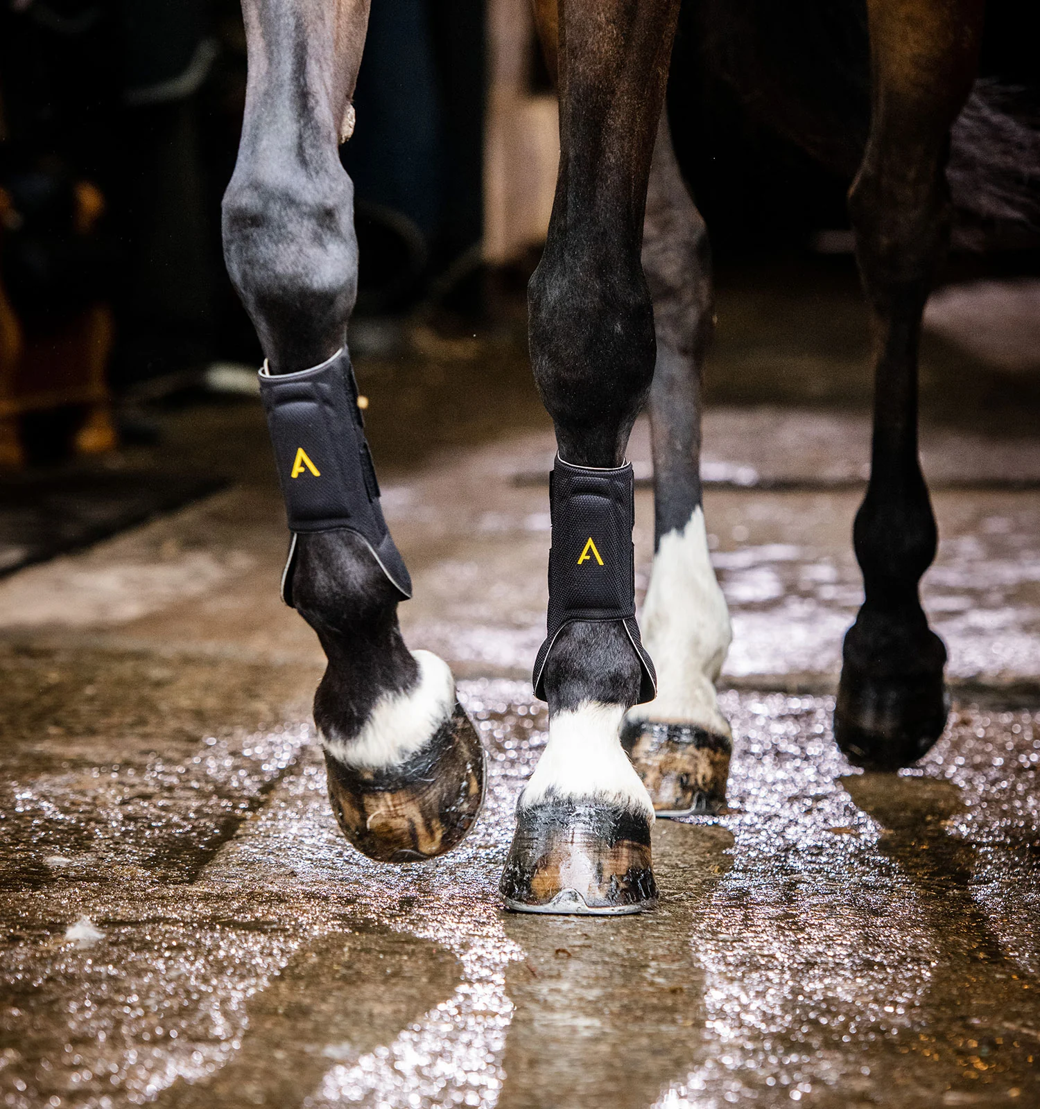 Horseware Ireland Adagio Boot - Image 4