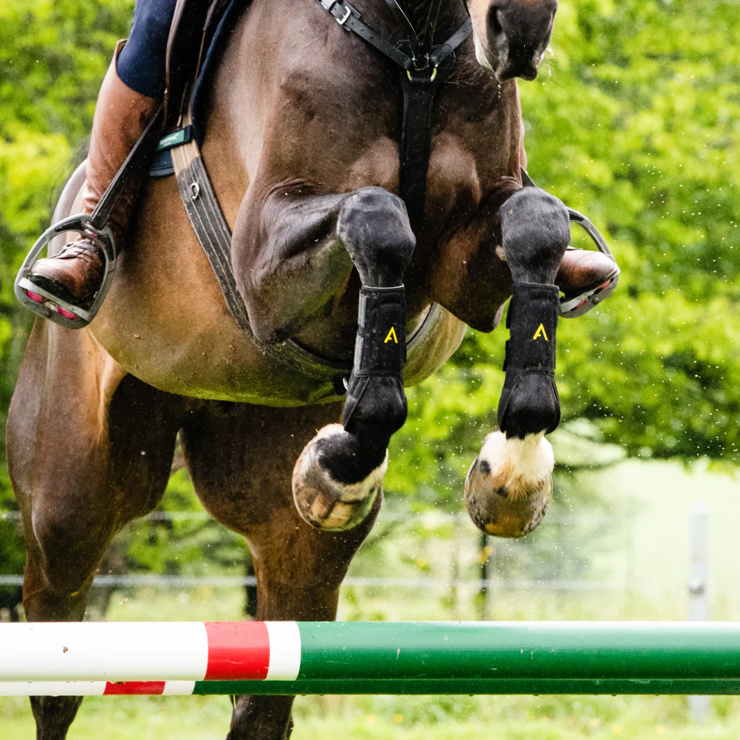 Horseware Ireland Adagio Boot - Image 5