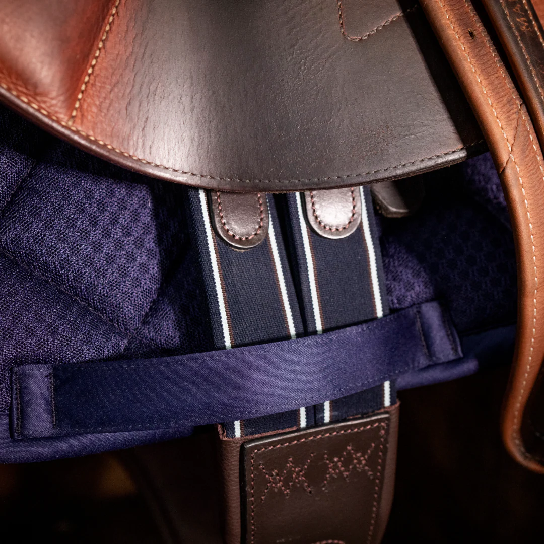Horseware Ireland Alessandro Albanese Performance Jump Pad - Image 17